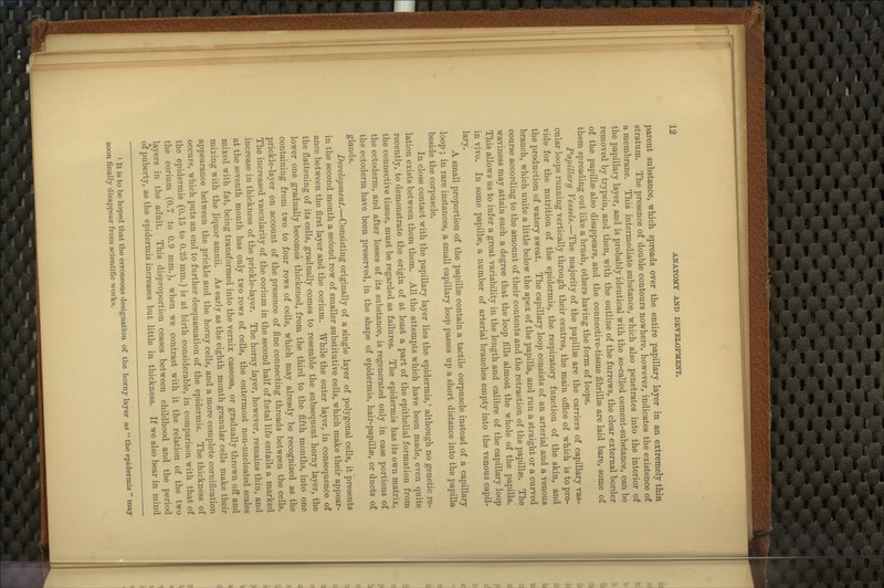 parent substance, which spreads over the entire papillary layer in an extremely thin stratum. The presence of double contours nowhere, however, indicates the existence of a membrane. This intermediate substance, which also penetrates into the interior of the papillary layer, and is probably identical with the so-called cement-substance, can be removed by trypsin, and then, with the outline of the furrows, the clear external border of the papillae also disappears, and the connective-tissue fibrillse are laid bare, some of them spreading out like a brush, others having the form of loops. Papillary Vessels.—The majority of the papillaB are the carriers of capillary vas-. cular loops running vertically through their centres, the main office of which is to pro- vide for the nutrition of the epidermis, the respiratory function of the skin, and the production of watery sweat. The capillary loop consists of an arterial and a venous branch, which unite a little below the apex of the papilla, and run a straight or a curved course according to the amount of their contents and the retraction of the papillse. The waviness may attain such a degree that the loop fills almost the whole of the papilla. This allows us to infer a great variability in the length and calibre of the capillary loop in vivo. In some papillae, a number of arterial branches empty into the venous capil- lary. A small proportion of the papillae contain a tactile corpuscle instead of a capillary loop ; in rare instances, a small capillary loop passes up a short distance into the papilla beside the corpuscle. In close contact with the papillary layer lies the epidermis,' although no genetic re- lation exists between them them. All the attempts which have been made, even quite recently, to demonstrate the origin of at least a part of the epithelial formation from the connective tissue, must be regarded as failures. The epidermis has its own matrix, the ectoderm, and after losses of its substance, is regenerated only in case portions of the ectoderm have been preserved, in the shape of epidermis, hair-papillae, or ducts of glands. Development.—Consisting originally of a single layer of polygonal cells, it presents in the second month a second row of smaller substitutive cells, which make their appear- ance between the first layer and the corium. While the outer layer, in consequence of the flattening of its cells, gradually comes to resemble the subsequent horny layer, the lower one gradually becomes thickened, from the third to the fifth months, into one containing from two to four rows of cells, which may already be recognized as the prickle-layer on account of the presence of fine connecting threads between the cells. The increased vascularity of the corium in the second half of foetal life entails a marked increase in thickness of the prickle-layer. The horny layer, however, remains thin, and at the seventh month has only two rows of cells, the outermost non-nucleated scales mixed with fat, being transformed into the vernix caseosa, or gradually thrown off and mixing with the liquor amnii. As early as the eighth month granular cells make their appearance between the prickle and the horny cells, and a more complete cornification occurs, which puts an end to further desquamation of the epidermis. The thickness of the epidermis (0.15 to 0.25 mm.) is at birth considerable, in comparison with that of the corium (0.7 to 0.9 mm.), when we contrast with it the relation of the two layers in the adult. This disproportion ceases between childhood and the period of puberty, as the epidermis increases but little in thickness. If we also bear in mind ' It is to be hoped that the erroneous designation of the horny layer as  the epidermis  may soon finally disappear from scientific works.