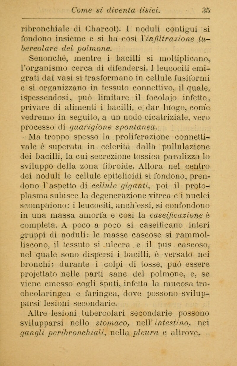«bronchiale di Uiarcot). I noduli contigui si fondono insieme e si ha cosi Vinfiltrazione tu- bercolare del polmone. Senonchè, mentre i bacilli si moltiplicano, l'organismo cerca di difendersi, I leucociti emi- grati dai vasi si trasformano in cellule fusiformi e si organizzano in tessuto connettivo, il quale, sseodosi, può limitare il focolajo infetto, privare di alimenti i bacilli, e dar luogo, come vedremo in seguito, a un nodo cicatriziale, vero processo di guarigione spontanea. Ma troppo spesso la proliferazione connetti- vale è superata in celerità dalla pullulazione dei bacilli, la cui secrezione tossica paralizza lo sviluppo della zona fibroide. Allora nel centro dei noduli le cellule epitelioidi si fondono, pren- dono T aspetto di cellule giganti, poi il proto- plasma subisce la degenerazione vitrea e i nuclei scompaiono: i leucociti, anch'essi, si confondono in una massa amorfa e cosi la caseificazione è completa. A poco a poco si caseifìcano interi gruppi di noduli: le masse caseose si rammol- liscono, il tessuto si ulcera e il pus caseoso, nel quale sono dispersi i bacilli, è versato nei bronchi: durante i colpi di tosse, può essere progettato nelle parti sane del polmone, e. se viene emesso cogli sputi, infetta la mucosa tra- cheolaringea e faringea, dove possono svilup- parsi lesioni secondarie. Altre lesioni tubercolari secondarie possono svilupparsi nello stomaco, nell' intestino, nei gangli peribronehiaU, nella pleura e altrove.