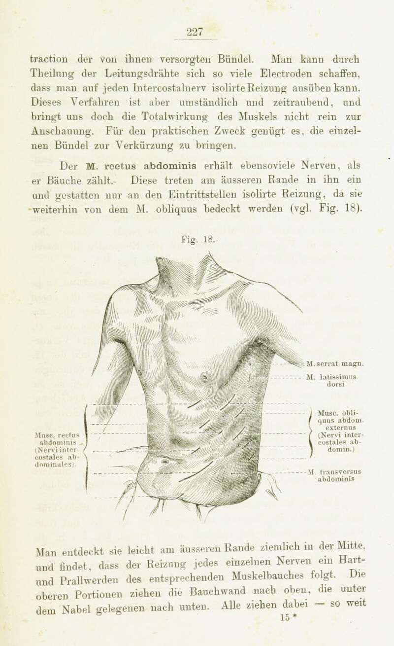 traction der von ihnen versorgten Bündel. Man kann durch Theilung der Leitungsdrähte sich so viele Electroden schaffen, dass man auf jeden Intercostalnerv isolirteReizung ausüben kann. Dieses Verfahren ist aber umständlich und zeitraubend, und bringt uns doch die Totalwirkung des Muskels nicht rein zur Anschauung. Für den praktischen Zweck genügt es, die einzel- nen Bündel zur Verkürzung zu bringen. Der M. rectus abdominis erhält ebensoviele Nerven, als er Bäuche zählt. Diese treten am äusseren Rande in ihn ein und gestatten nur an den Eintrittstellen isolirte Reizung, da sie weiterhin von dem M. obliquus bedeckt werden (vgl. Fig. 18). Fig. 18. M.serrat.magn. M. latissirnus dorsi Muse, obli- quus abdoui. exteruus (Nervi inter- costales ab- domin. I --M transversus abdominis Man entdeckt sie leicht am äusseren Rande ziemlich in der Mitte, und findet, dass der Reizung jedes einzelnen Nerven ein Hart- und Prallwerden des entsprechenden Muskelbauehes folgt. Die oberen Portionen ziehen die Bauchwand nach oben, die unter dem Nabel gelegenen nach unten. Alle ziehen dabei - so weit 15 *