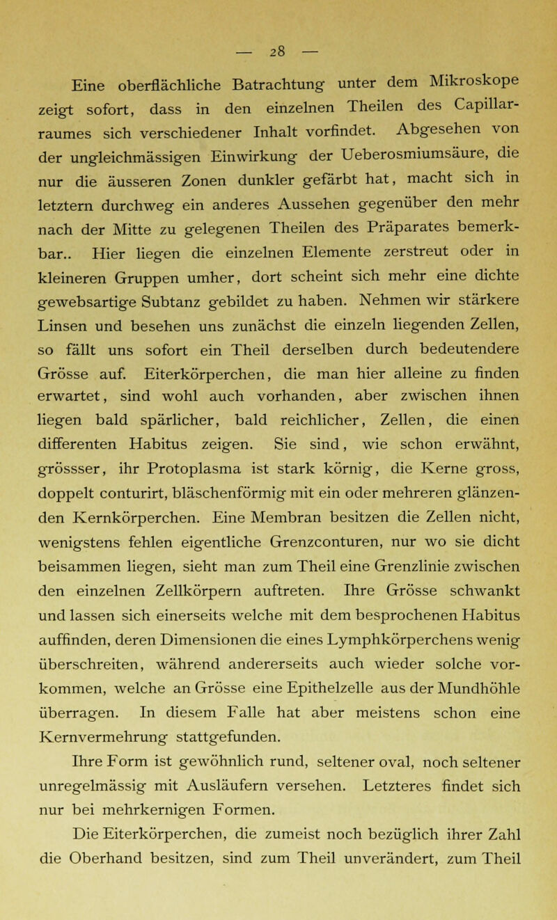 Eine oberflächliche Batrachtung unter dem Mikroskope zeigt sofort, dass in den einzelnen Theilen des Capillar- raumes sich verschiedener Inhalt vorfindet. Abgesehen von der ungleichmässigen Einwirkung der Ueberosmiumsäure, die nur die äusseren Zonen dunkler gefärbt hat, macht sich in letztern durchweg ein anderes Aussehen gegenüber den mehr nach der Mitte zu gelegenen Theilen des Präparates bemerk- bar.. Hier liegen die einzelnen Elemente zerstreut oder in kleineren Gruppen umher, dort scheint sich mehr eine dichte gewebsartige Subtanz gebildet zu haben. Nehmen wir stärkere Linsen und besehen uns zunächst die einzeln liegenden Zellen, so fällt uns sofort ein Theil derselben durch bedeutendere Grösse auf. Eiterkörperchen, die man hier alleine zu finden erwartet, sind wohl auch vorhanden, aber zwischen ihnen liegen bald spärlicher, bald reichlicher, Zellen, die einen differenten Habitus zeigen. Sie sind, wie schon erwähnt, grössser, ihr Protoplasma ist stark körnig, die Kerne gross, doppelt conturirt, bläschenförmig mit ein oder mehreren glänzen- den Kernkörperchen. Eine Membran besitzen die Zellen nicht, wenigstens fehlen eigentliche Grenzconturen, nur wo sie dicht beisammen liegen, sieht man zum Theil eine Grenzlinie zwischen den einzelnen Zellkörpern auftreten. Ihre Grösse schwankt und lassen sich einerseits welche mit dem besprochenen Habitus auffinden, deren Dimensionen die eines Lymphkörperchens wenig überschreiten, während andererseits auch wieder solche vor- kommen, welche an Grösse eine Epithelzelle aus der Mundhöhle überragen. In diesem Falle hat aber meistens schon eine Kernvermehrung stattgefunden. Ihre Form ist gewöhnlich rund, seltener oval, noch seltener unregelmässig mit Ausläufern versehen. Letzteres findet sich nur bei mehrkernigen Formen. Die Eiterkörperchen, die zumeist noch bezüglich ihrer Zahl die Oberhand besitzen, sind zum Theil unverändert, zum Theil