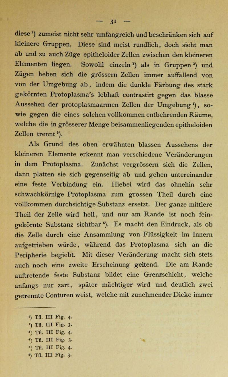 diese1) zumeist nichtsehr umfangreich und beschränken sich auf kleinere Gruppen. Diese sind meist rundlich, doch sieht man ab und zu auch Züge epitheloider Zellen zwischen den kleineren Elementen liegen. Sowohl einzeln2) als in Gruppen 3) und Zügen heben sich die grössern Zellen immer auffallend von von der Umgebung ab, indem die dunkle Färbung des stark gekörnten Protoplasma's lebhaft contrastirt gegen das blasse Aussehen der protoplasmaarmen Zellen der Umgebung'), so- wie gegen die eines solchen vollkommen entbehrenden Räume, welche die in grösserer Menge beisammenliegenden epitheloiden Zellen trenntb). Als Grund des oben erwähnten blassen Aussehens der kleineren Elemente erkennt man verschiedene Veränderungen in dem Protoplasma. Zunächst vergrössern sich die Zellen, dann platten sie sich gegenseitig ab und gehen untereinander eine feste Verbindung ein. Hiebei wird das ohnehin sehr schwachkörnige Protoplasma zum grossen Theil durch eine vollkommen durchsichtige Substanz ersetzt. Der ganze mittlere Theil der Zelle wird hell, und nur am Rande ist noch fein- gekörnte Substanz sichtbar 6). Es macht den Eindruck, als ob die Zelle durch eine Ansammlung von Flüssigkeit im Innern aufgetrieben würde, während das Protoplasma sich an die Peripherie begiebt. Mit dieser Veränderung macht sich stets auch noch eine zweite Erscheinung geltend. Die am Rande auftretende feste Substanz bildet eine Grenzschicht, welche anfangs nur zart, später mächtiger wird und deutlich zwei getrennte Conturen weist, welche mit zunehmender Dicke immer ') Tfl. III Fig. 4. ') Tfl. III Fig. 3. ») Tfl. III Fig. 4. •) Tfl. III Fig. 3. •) Tfl. III Fig. 4.