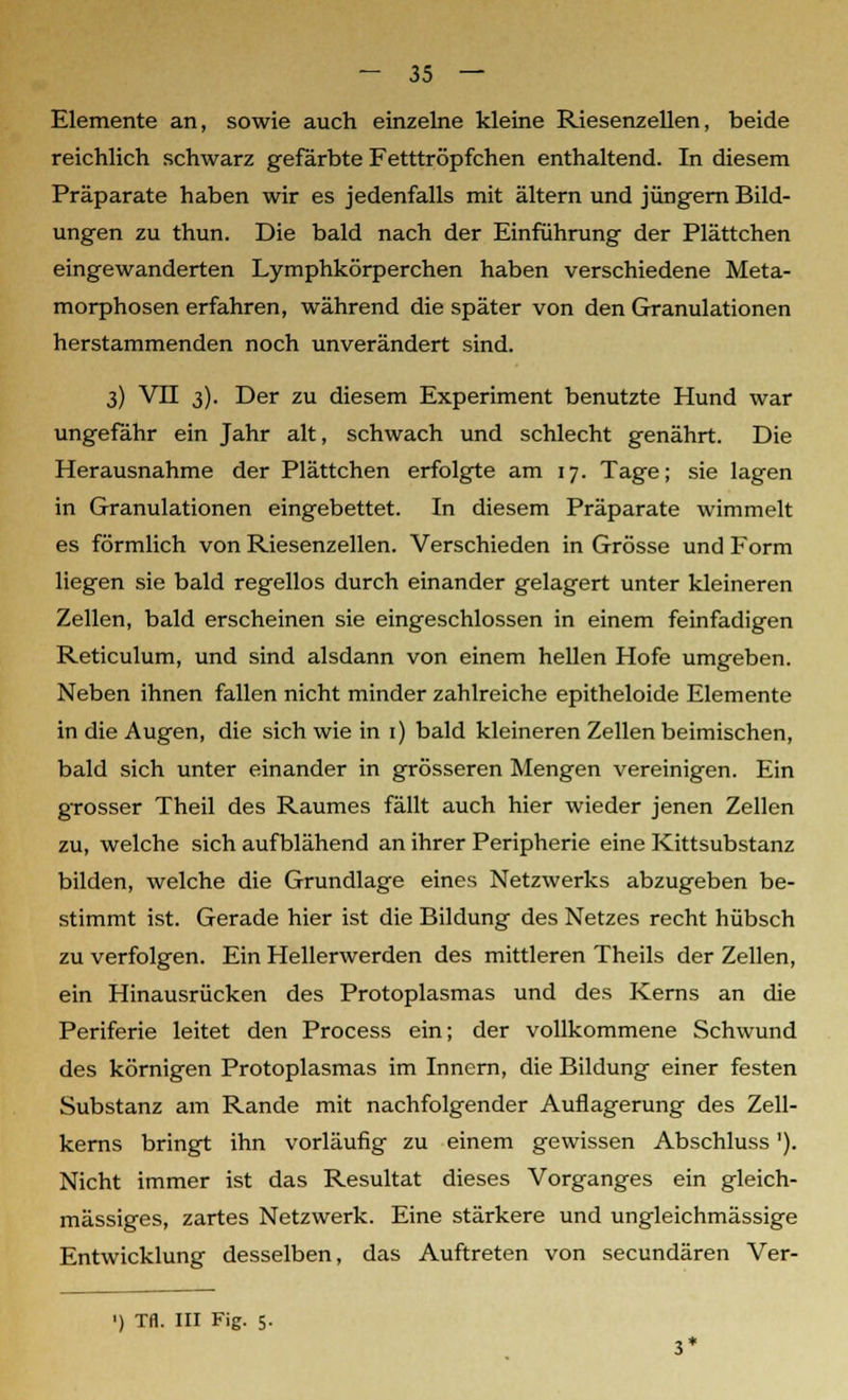 Elemente an, sowie auch einzelne kleine Riesenzellen, beide reichlich schwarz gefärbte Fetttröpfchen enthaltend. In diesem Präparate haben wir es jedenfalls mit altern und Jüngern Bild- ungen zu thun. Die bald nach der Einführung der Plättchen eingewanderten Lymphkörperchen haben verschiedene Meta- morphosen erfahren, während die später von den Granulationen herstammenden noch unverändert sind. 3) VII 3). Der zu diesem Experiment benutzte Hund war ungefähr ein Jahr alt, schwach und schlecht genährt. Die Herausnahme der Plättchen erfolgte am 17. Tage; sie lagen in Granulationen eingebettet. In diesem Präparate wimmelt es förmlich von Riesenzellen. Verschieden in Grösse und Form liegen sie bald regellos durch einander gelagert unter kleineren Zellen, bald erscheinen sie eingeschlossen in einem feinfadigen Reticulum, und sind alsdann von einem hellen Hofe umgeben. Neben ihnen fallen nicht minder zahlreiche epitheloide Elemente in die Augen, die sich wie in 1) bald kleineren Zellen beimischen, bald sich unter einander in grösseren Mengen vereinigen. Ein grosser Theil des Raumes fällt auch hier wieder jenen Zellen zu, welche sich aufblähend an ihrer Peripherie eine Kittsubstanz bilden, welche die Grundlage eines Netzwerks abzugeben be- stimmt ist. Gerade hier ist die Bildung des Netzes recht hübsch zu verfolgen. Ein Hellerwerden des mittleren Theils der Zellen, ein Hinausrücken des Protoplasmas und des Kerns an die Periferie leitet den Process ein; der vollkommene Schwund des körnigen Protoplasmas im Innern, die Bildung einer festen Substanz am Rande mit nachfolgender Auflagerung des Zell- kerns bringt ihn vorläufig zu einem gewissen Abschluss'). Nicht immer ist das Resultat dieses Vorganges ein gleich- massiges, zartes Netzwerk. Eine stärkere und ungleichmässige Entwicklung desselben, das Auftreten von secundären Ver- ') Tfl. III Fig. 5. 3*