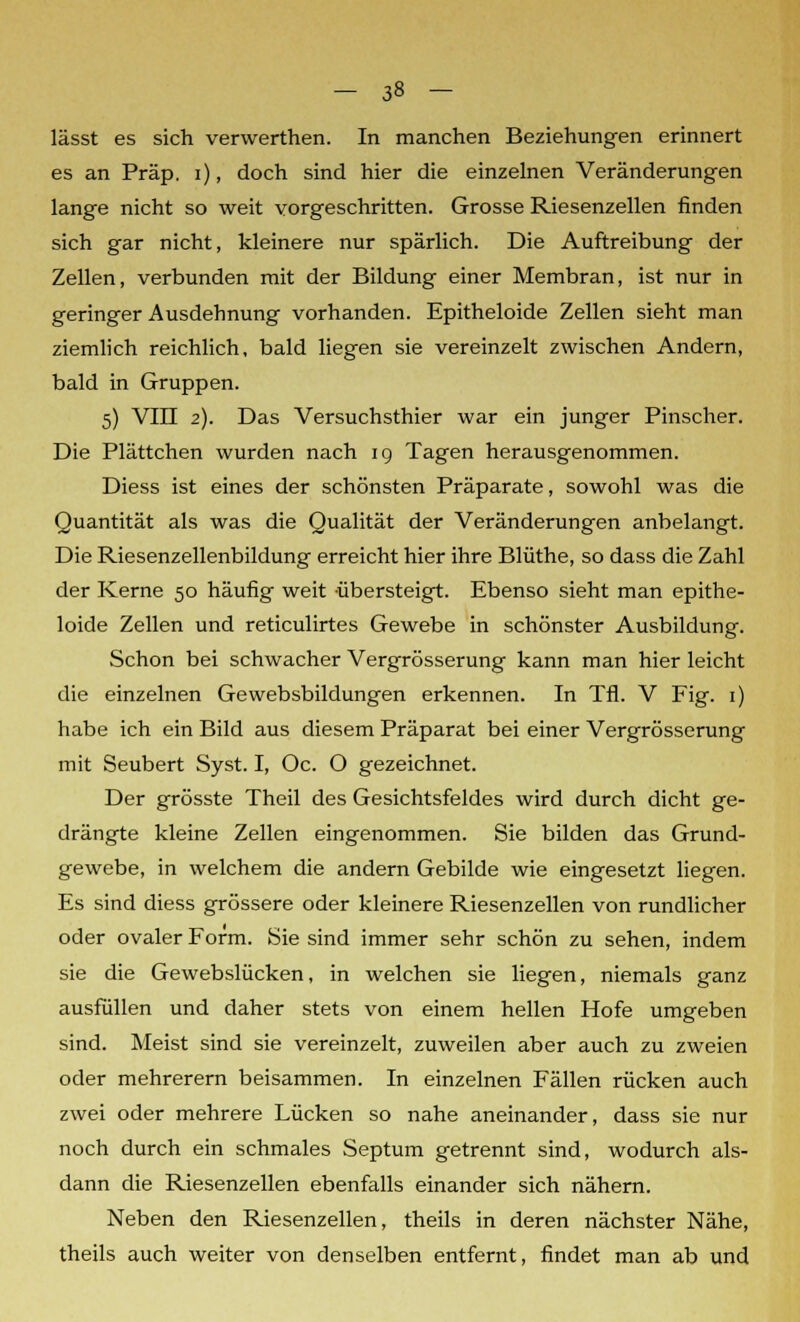 - 3» - lässt es sich verwerthen. In manchen Beziehungen erinnert es an Präp. i), doch sind hier die einzelnen Veränderungen lange nicht so weit vorgeschritten. Grosse Riesenzellen finden sich gar nicht, kleinere nur spärlich. Die Auftreibung der Zellen, verbunden mit der Bildung einer Membran, ist nur in geringer Ausdehnung vorhanden. Epitheloide Zellen sieht man ziemlich reichlich, bald liegen sie vereinzelt zwischen Andern, bald in Gruppen. 5) VIII 2). Das Versuchsthier war ein junger Pinscher. Die Plättchen wurden nach 19 Tagen herausgenommen. Diess ist eines der schönsten Präparate, sowohl was die Quantität als was die Qualität der Veränderungen anbelangt. Die Riesenzellenbildung erreicht hier ihre Blüthe, so dass die Zahl der Kerne 50 häufig weit übersteigt. Ebenso sieht man epithe- loide Zellen und reticulirtes Gewebe in schönster Ausbildung. Schon bei schwacher Vergrösserung kann man hier leicht die einzelnen Gewebsbildungen erkennen. In Tfl. V Fig. 1) habe ich ein Bild aus diesem Präparat bei einer Vergrösserung mit Seubert Syst. I, Oc. O gezeichnet. Der grösste Theil des Gesichtsfeldes wird durch dicht ge- drängte kleine Zellen eingenommen. Sie bilden das Grund- gewebe, in welchem die andern Gebilde wie eingesetzt liegen. Es sind diess grössere oder kleinere Riesenzellen von rundlicher oder ovaler Form. Sie sind immer sehr schön zu sehen, indem sie die Gewebslücken, in welchen sie liegen, niemals ganz ausfüllen und daher stets von einem hellen Hofe umgeben sind. Meist sind sie vereinzelt, zuweilen aber auch zu zweien oder mehrerern beisammen. In einzelnen Fällen rücken auch zwei oder mehrere Lücken so nahe aneinander, dass sie nur noch durch ein schmales Septum getrennt sind, wodurch als- dann die Riesenzellen ebenfalls einander sich nähern. Neben den Riesenzellen, theils in deren nächster Nähe, theils auch weiter von denselben entfernt, findet man ab und