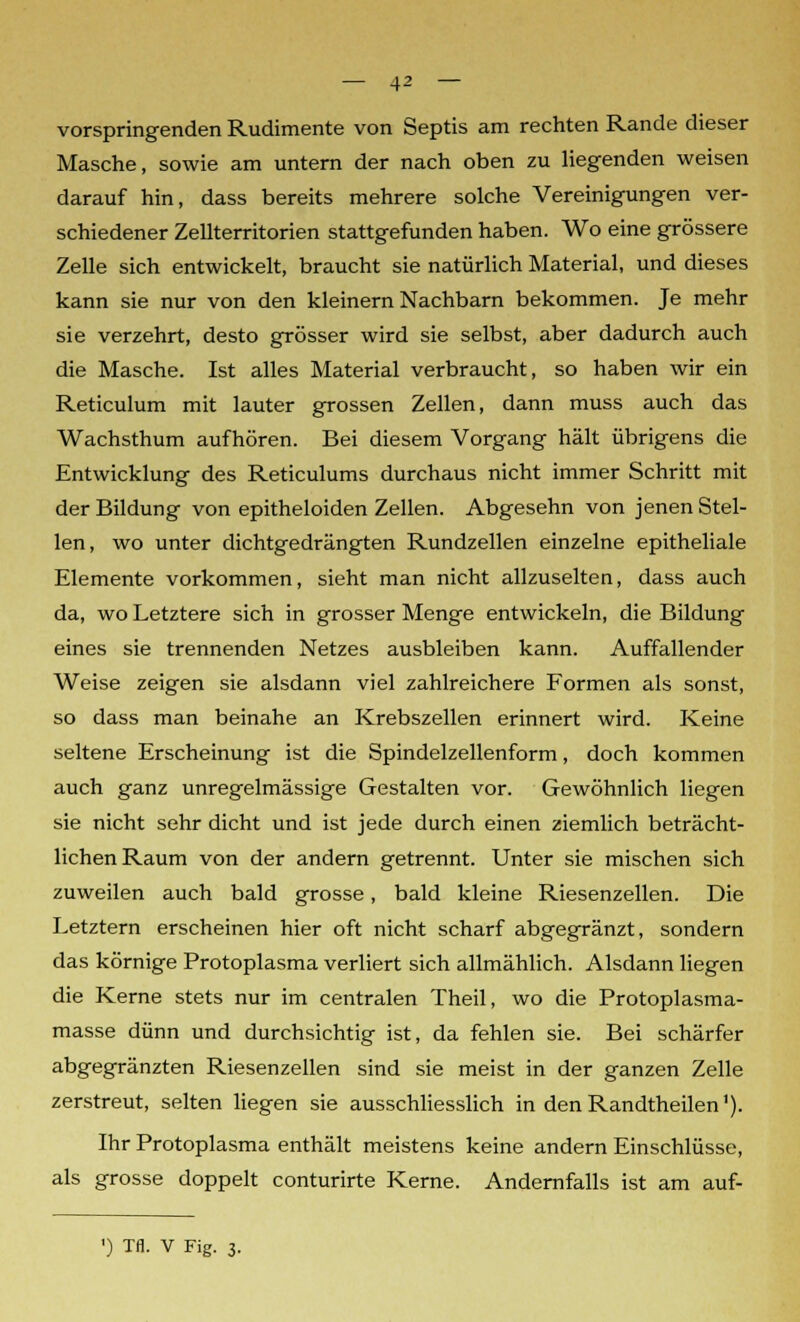 vorspringenden Rudimente von Septis am rechten Rande dieser Masche, sowie am untern der nach oben zu liegenden weisen darauf hin, dass bereits mehrere solche Vereinigungen ver- schiedener Zellterritorien stattgefunden haben. Wo eine grössere Zelle sich entwickelt, braucht sie natürlich Material, und dieses kann sie nur von den kleinern Nachbarn bekommen. Je mehr sie verzehrt, desto grösser wird sie selbst, aber dadurch auch die Masche. Ist alles Material verbraucht, so haben wir ein Reticulum mit lauter grossen Zellen, dann muss auch das Wachsthum aufhören. Bei diesem Vorgang hält übrigens die Entwicklung des Reticulums durchaus nicht immer Schritt mit der Bildung von epitheloiden Zellen. Abgesehn von jenen Stel- len, wo unter dichtgedrängten Rundzellen einzelne epitheliale Elemente vorkommen, sieht man nicht allzuselten, dass auch da, wo Letztere sich in grosser Menge entwickeln, die Bildung eines sie trennenden Netzes ausbleiben kann. Auffallender Weise zeigen sie alsdann viel zahlreichere Formen als sonst, so dass man beinahe an Krebszellen erinnert wird. Keine seltene Erscheinung ist die Spindelzellenform, doch kommen auch ganz unregelmässige Gestalten vor. Gewöhnlich liegen sie nicht sehr dicht und ist jede durch einen ziemlich beträcht- lichen Raum von der andern getrennt. Unter sie mischen sich zuweilen auch bald grosse, bald kleine Riesenzellen. Die Letztern erscheinen hier oft nicht scharf abgegränzt, sondern das körnige Protoplasma verliert sich allmählich. Alsdann liegen die Kerne stets nur im centralen Theil, wo die Protoplasma- masse dünn und durchsichtig ist, da fehlen sie. Bei schärfer abgegränzten Riesenzellen sind sie meist in der ganzen Zelle zerstreut, selten liegen sie ausschliesslich in denRandtheilen1). Ihr Protoplasma enthält meistens keine andern Einschlüsse, als grosse doppelt conturirte Kerne. Andernfalls ist am auf-