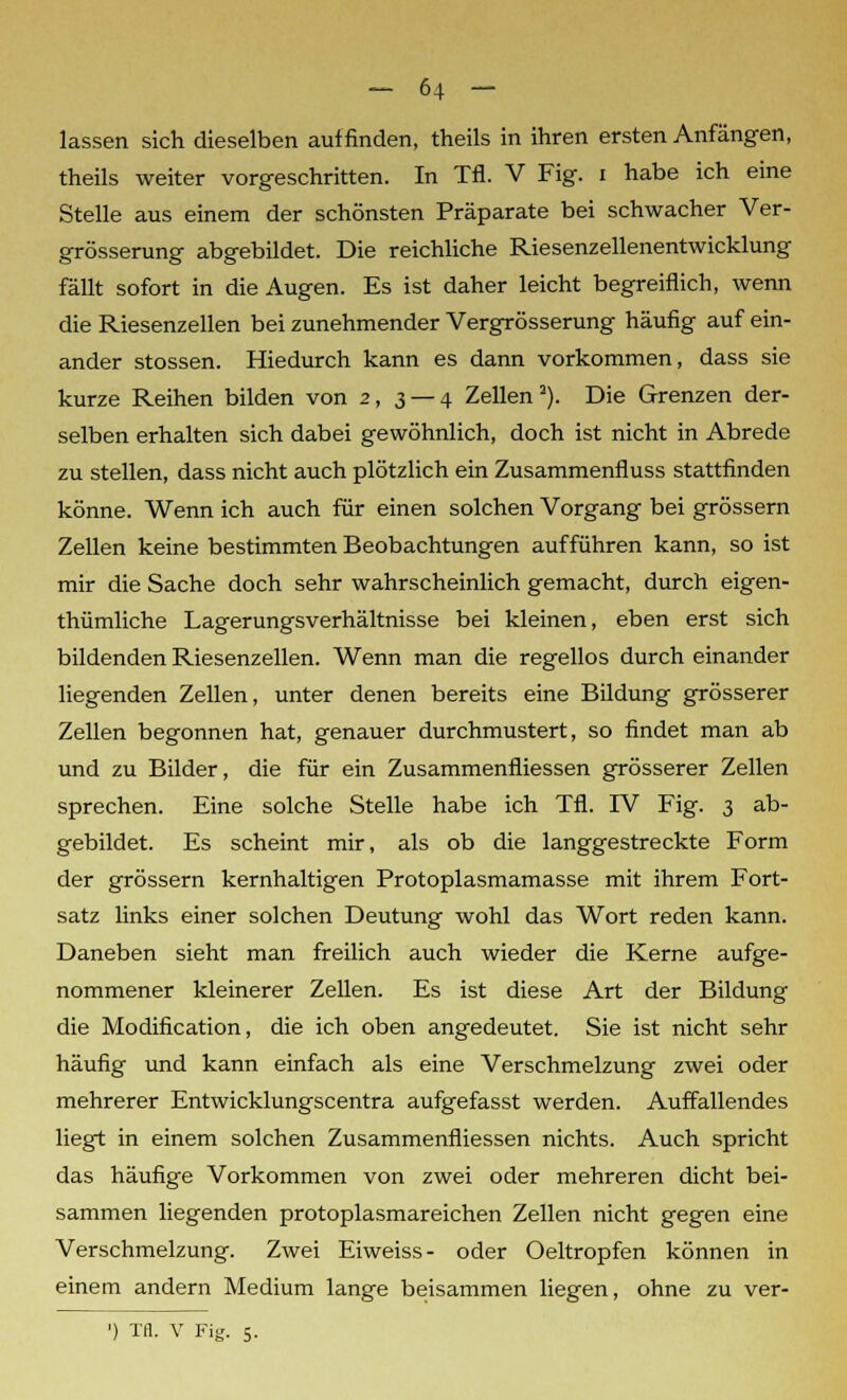 lassen sich dieselben auffinden, theils in ihren ersten Anfängen, theils weiter vorgeschritten. In Tri. V Fig. i habe ich eine Stelle aus einem der schönsten Präparate bei schwacher Ver- grösserung abgebildet. Die reichliche Riesenzellenentwicklung fällt sofort in die Augen. Es ist daher leicht begreiflich, wenn die Riesenzellen bei zunehmender Vergrösserung häufig auf ein- ander stossen. Hiedurch kann es dann vorkommen, dass sie kurze Reihen bilden von 2,3 — 4 Zellen 2). Die Grenzen der- selben erhalten sich dabei gewöhnlich, doch ist nicht in Abrede zu stellen, dass nicht auch plötzlich ein Zusammenfluss stattfinden könne. Wenn ich auch für einen solchen Vorgang bei grössern Zellen keine bestimmten Beobachtungen aufführen kann, so ist mir die Sache doch sehr wahrscheinlich gemacht, durch eigen- tümliche Lagerungsverhältnisse bei kleinen, eben erst sich bildenden Riesenzellen. Wenn man die regellos durch einander liegenden Zellen, unter denen bereits eine Bildung grösserer Zellen begonnen hat, genauer durchmustert, so findet man ab und zu Bilder, die für ein Zusammenfliessen grösserer Zellen sprechen. Eine solche Stelle habe ich Tfl. IV Fig. 3 ab- gebildet. Es scheint mir, als ob die langgestreckte Form der grössern kernhaltigen Protoplasmamasse mit ihrem Fort- satz links einer solchen Deutung wohl das Wort reden kann. Daneben sieht man freilich auch wieder die Kerne aufge- nommener kleinerer Zellen. Es ist diese Art der Bildung die Modification, die ich oben angedeutet. Sie ist nicht sehr häufig und kann einfach als eine Verschmelzung zwei oder mehrerer Entwicklungscentra aufgefasst werden. Auffallendes liegt in einem solchen Zusammenfliessen nichts. Auch spricht das häufige Vorkommen von zwei oder mehreren dicht bei- sammen liegenden protoplasmareichen Zellen nicht gegen eine Verschmelzung. Zwei Eiweiss- oder Oeltropfen können in einem andern Medium lange beisammen liegen, ohne zu ver-