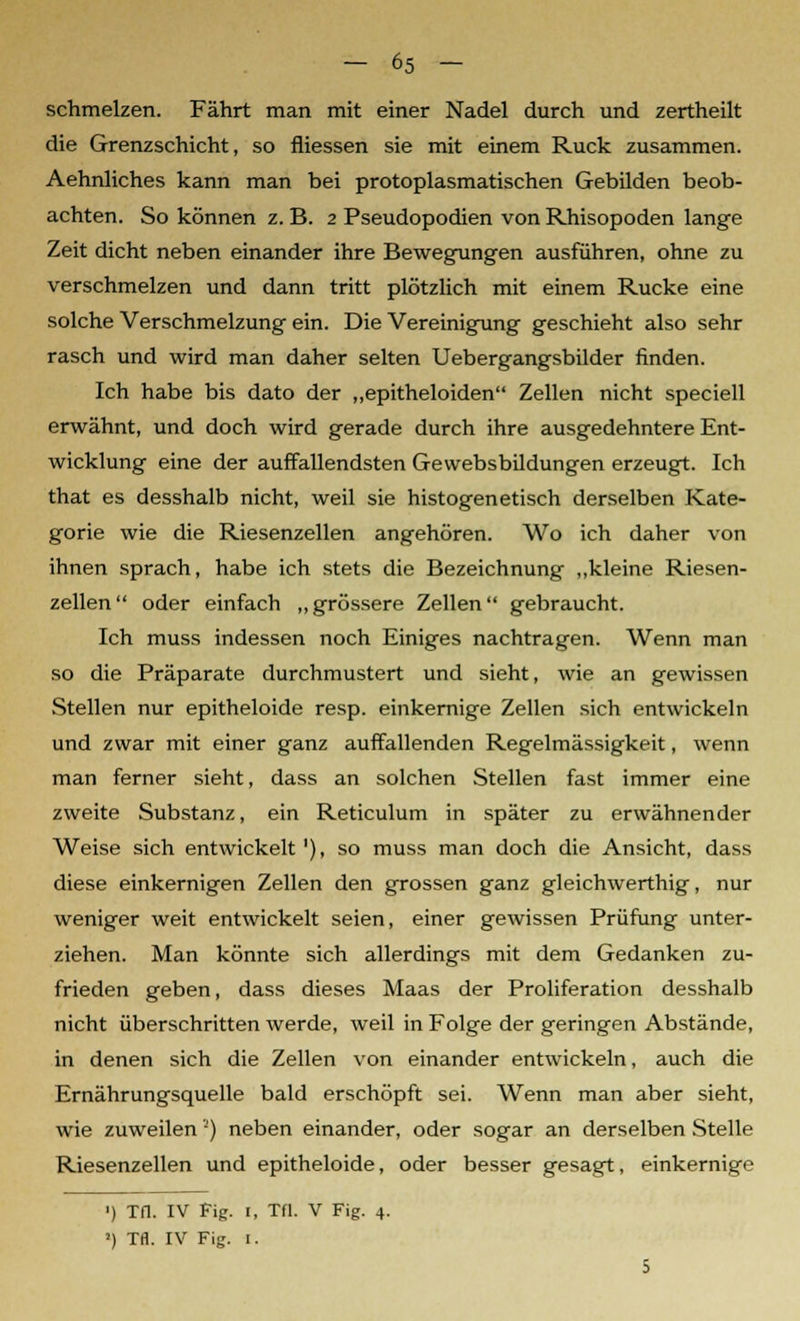 schmelzen. Fährt man mit einer Nadel durch und zertheilt die Grenzschicht, so fliessen sie mit einem Ruck zusammen. Aehnliches kann man bei protoplasmatischen Gebilden beob- achten. So können z. B. 2 Pseudopodien von Rhisopoden lange Zeit dicht neben einander ihre Bewegungen ausführen, ohne zu verschmelzen und dann tritt plötzlich mit einem Rucke eine solche Verschmelzung ein. Die Vereinigung geschieht also sehr rasch und wird man daher selten Uebergangsbilder finden. Ich habe bis dato der „epitheloiden Zellen nicht speciell erwähnt, und doch wird gerade durch ihre ausgedehntere Ent- wicklung eine der auffallendsten Gevvebsbildungen erzeugt. Ich that es desshalb nicht, weil sie histogenetisch derselben Kate- gorie wie die Riesenzellen angehören. Wo ich daher von ihnen sprach, habe ich stets die Bezeichnung „kleine Riesen- zellen oder einfach „grössere Zellen gebraucht. Ich muss indessen noch Einiges nachtragen. Wenn man so die Präparate durchmustert und sieht, wie an gewissen Stellen nur epitheloide resp. einkernige Zellen sich entwickeln und zwar mit einer ganz auffallenden Regelmässigkeit, wenn man ferner sieht, dass an solchen Stellen fast immer eine zweite Substanz, ein Reticulum in später zu erwähnender Weise sich entwickelt1), so muss man doch die Ansicht, dass diese einkernigen Zellen den grossen ganz gleichwerthig, nur weniger weit entwickelt seien, einer gewissen Prüfung unter- ziehen. Man könnte sich allerdings mit dem Gedanken zu- frieden geben, dass dieses Maas der Proliferation desshalb nicht überschritten werde, weil in Folge der geringen Abstände, in denen sich die Zellen von einander entwickeln, auch die Ernährungsquelle bald erschöpft sei. Wenn man aber sieht, wie zuweilen '-') neben einander, oder sogar an derselben Stelle Riesenzellen und epitheloide, oder besser gesagt, einkernige ') m IV Fig. 1, Tfl. V Fig. 4.