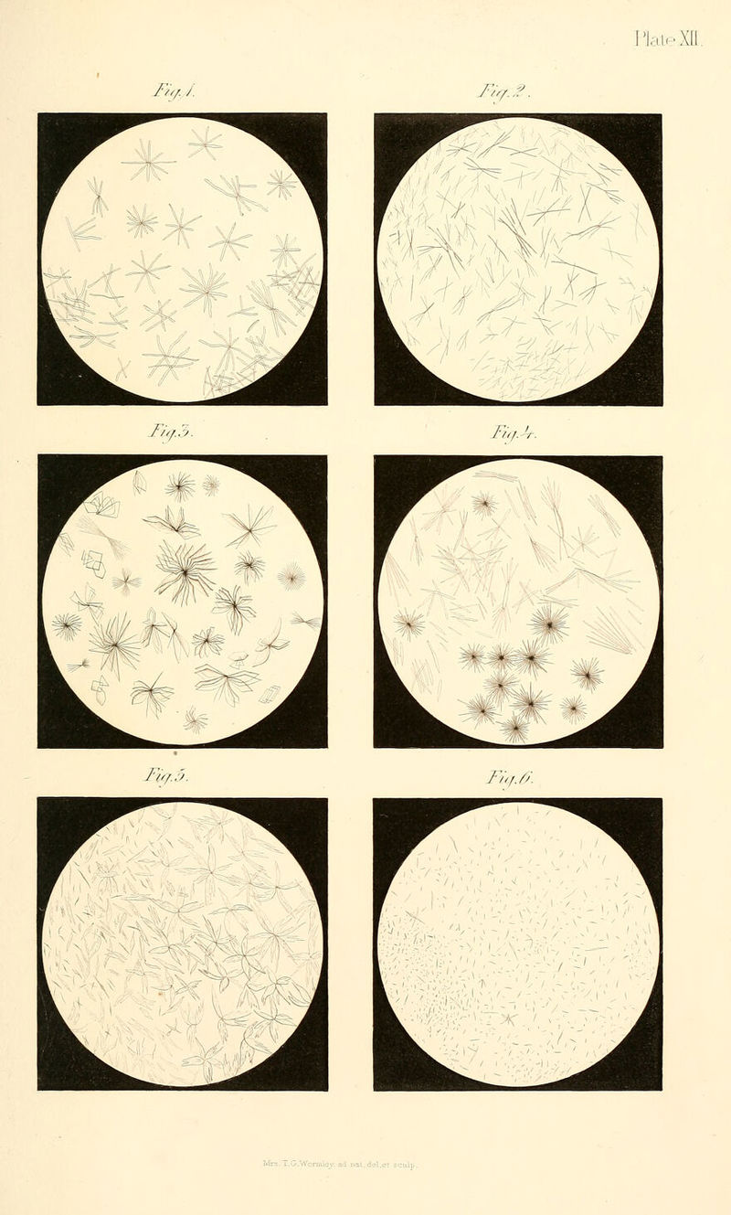 Fit/. /, •ia:Z Fur.3. Fu, JF'iq. 3. Fur. 0. Mrs r.G.Wormlev ad nat.del.e