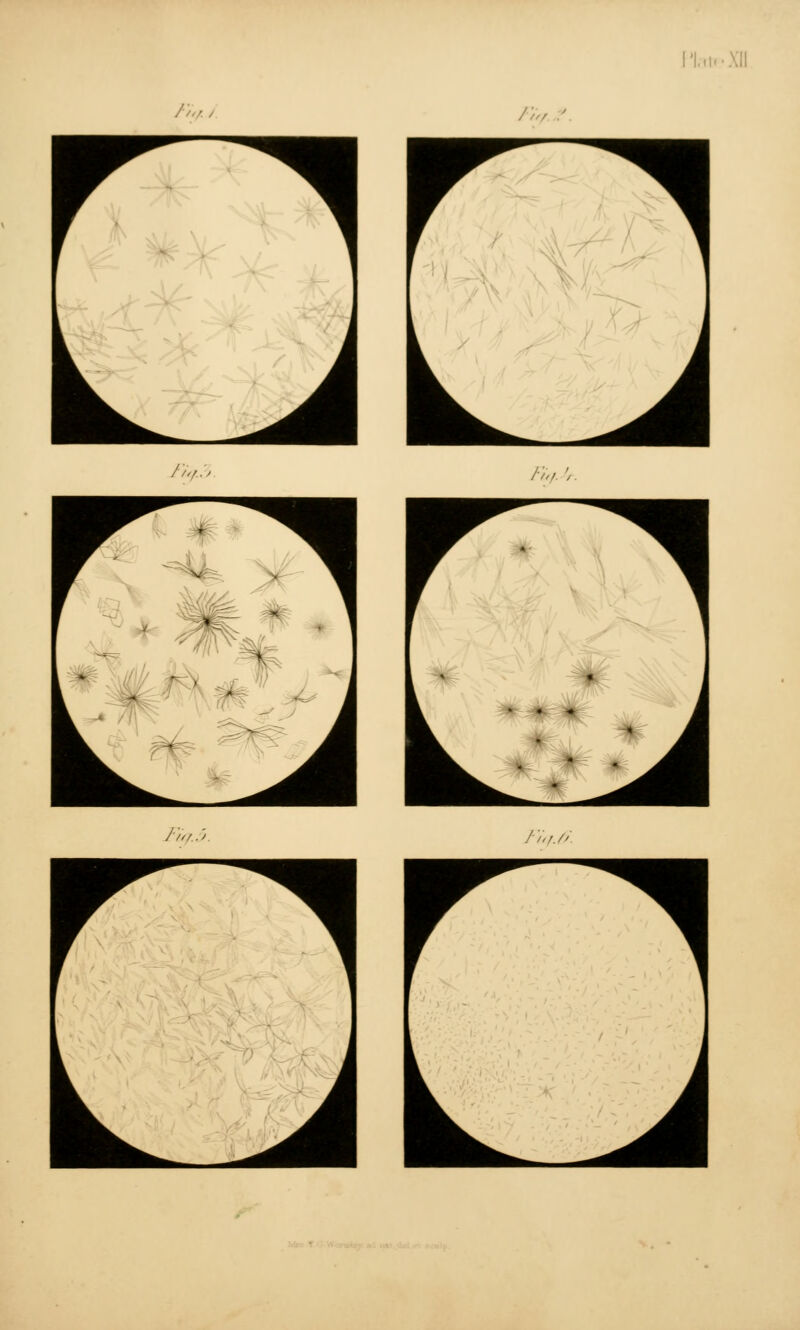 •hi.. XII /;,/ /;,,. /;,/.;. nn