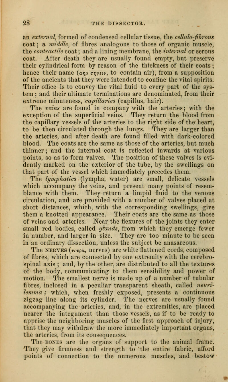 tin external, formed of condensed cellular tissue, tlie cellulo-Jihrous coat; a middle, of fibres analogous to those of organic muscle, the contractile coat; and a lining membrane, the internal or serous coat. After death they are usually found empty, but preserve their cylindrical form by reason of the thickness of their coats; hence their name (ai;p trjpstv, to contain air), from a supposition of the ancients that they were intended to confine the vital spirits. Their office is to convey the vital fluid to every part of the sys- tem ; and their ultimate terminations are denominated, from their extreme minuteness, capillaries (capillus, hair). The veiiis are found in company with the arteries; with the exception of the superficial veins. They return the blood from the capillary vessels of the arteries to the right side of the heart, to be then circulated through the lungs. They are larger than the arteries, and after death are found filled with dark-colored blood. The coats are the same as those of the arteries, but much thinner; and the internal coat is reflected inwards at various points, so as to form valves. The position of these valves is evi- dently marked on the exterior of the tube, by the swellings on that part of the vessel which immediately precedes them. The lymphatics (lympha, water) are small, delicate vessels which accompany the veins, and present many points of resem- blance with them. They return a limpid fluid to the venous circulation, and are provided with a number of valves placed at short distances, which, with the corresponding swellings, give them a knotted appearance. Their coats are the same as those of veins and arteries. Near the flexures of the joints they enter small red bodies, called glands, from which they emerge fewer in number, and larger in size. They are too minute to be seen in an ordinary dissection, unless the subject be anasarcous. The NERVES (vfvpa, ncrves) are white flattened cords, composed of fibres, which are connected by one extremity with the cerebro- spinal axis ; and, by the other, are distributed to all the textures of the body, communicating to them sensibility and power of motion. The smallest nerve is made up of a number of tubular fibres, inclosed in a peculiar transparent sheath, called neuri- lemma ; which, when freshly exposed, presents a continuous zigzag line along its cylinder. The nerves are usually found accompanying the arteries, and, in the extremities, are placed nearer the integument than those vessels, as if to be ready to apprise the neighboring muscles of the first approach of injury, that they may withdraw the more immediately important organs, the arteries, from its consequences. Tiic BONES arc the organs of support to the animal frame. They give firmness and strength to the entire fabric, afford points of connection to the numerous muscles, and bestow