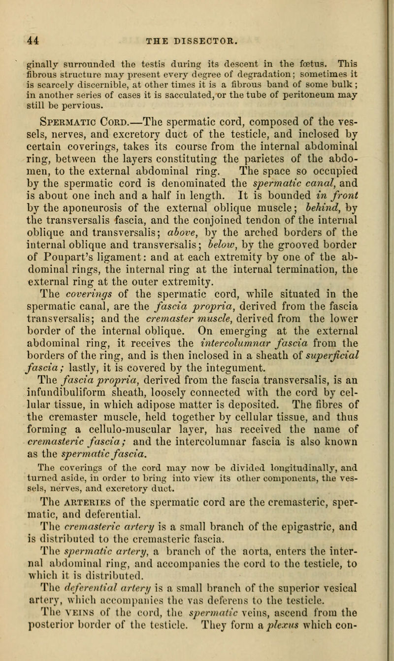 ginallj surrounded the testis during its descent in the foetus. Tliis fibrous structure may present every degree of degradation; sometimes it is scarcely discernible, at other times it is a fibrous band of some bulk; in another series of cases it is sacculated, or the tube of peritoneum may still be pervious. Spermatic Cord.—The spermatic cord, composed of the ves- sels, nerves, and excretory duct of the testicle, and inclosed by certain coverings, takes its coarse from the internal abdominal ring, between the layers constituting the parietes of the abdo- men, to the external abdominal ring. The space so occupied by the spermatic cord is denominated the spermatic canal, and is about one inch and a half in length. It is bounded in front by the aponeurosis of the external oblique muscle; behind, by the transversalis fascia, and the conjoined tendon of the internal oblique and transversalis; above, by the arched borders of the internal oblique and transversalis; beloiv, by the grooved border of Poupart's ligament: and at each extremity by one of the ab- dominal rings, the internal ring at the internal termination, the external ring at the outer extremity. The coverings of the spermatic cord, while situated in the spermatic canal, are the fascia propria, derived from the fascia transversalis; and the cremaster muscle, ^qvisq^ horn, the lower border of the internal oblique. On emerging at the external abdominal ring, it receives the inter columnar fascia from the borders of the ring, and is then inclosed in a sheath of superficial fascia; lastly, it is covered by the integument. The fascia propria, derived from the fascia transversalis, is an infundibuliform sheath, loosely connected with the cord by cel- lular tissue, in which adipose matter is deposited. The fibres of the cremaster muscle, held together by cellular tissue, and thus forming a cellulo-muscular layer, has received the name of cremasteric fascia; and the intercolumuar fascia is also known as the spermatic fascia. The coverings of the cord may now be divided longitudinally, and turned aside, in order to bring into view its other components, the ves- sels, nerves, and excretory duct. The ARTERIES of the spermatic cord are the cremasteric, sper- matic, and deferential. The cremasteric artery is a small branch of the epigastric, and is distributed to the cremasteric fascia. Tlie spermatic artery, a branch of the aorta, enters the inter- nal abdominal ring, and accompanies the cord to the testicle, to wliich it is distributed. Tiic deferential artery is a small branch of the superior vesical artery, wliieh accompanies the vas deferens to the testicle. The VEINS of the cord, the spermatic veins, ascend from the posterior border of the testicle. They form a plexus which con-
