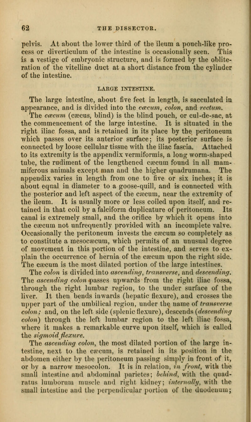 pelvivS. At about the lower third of the ileum a pouch-like pro- cess or diverticulum of the intestine is occasionally seen. This is a vestige of embryonic structure, and is formed by the oblite- ration of the vitelline duct at a short distance from the cylinder of the intestine. LARGE INTESTINE. The large intestine, about five feet in length, is sacculated in appearance, and is divided into the ccBcum, colon, and rectum. The ccecum (caecus, blind) is the blind pouch, or cul-de-sac, at the commencement of the large intestine. It is situated in the right iliac fossa, and is retained in its place by the peritoneum which passes over its anterior surface; its posterior surface is connected by loose cellular tissue with the iliac fascia. Attached to its extremity is the appendix vermiformis, a long worm-shaped tube, the rudiment of the lengthened caecum found in all mam- miferous animals except man and the higher quadrumana. The appendix varies in length from one to five or six inches; it is about equal in diameter to a goose-quill, and is connected with the posterior and left aspect of the cacum, near the extremity of the ileum. It is usually more or less coiled upon itself, and re- tained in that coil by a falciform duplicature of peritoneum. Its canal is extremely small, and the orifice by which it opens into the caecum not unfrequently provided with an incomplete valve. Occasionally the peritoneum invests the caecum so completely as to constitute a mesoca^cum, which permits of an unusual degree of movement in this portion of the intestine, and serves to ex- plain the occurrence of hernia of the caecum upon the right side. The ciecum is the most dilated portion of the large intestines. The colon is divided into ascending, transverse, and descending. Tlie ascending colon passes upwards from the right iliac fossa, through the right lumbar region, to the under surface of the liver. It then bends inwards (hepatic flexure), and crosses the upper part of the umbilical region, under the name o^ transvei-se colon; and, on the left side (s})lenic flexure), descends (descending colon) through the left lumbar region to the left iliac fossa, where it makes a remarkable curve upon itself, which is called the sigmoid flexure. The ascending colon, the most dilated portion of the large in- testine, next to the ca^'um, is retained in its position in the abdomen either by the peritoneum i)assing sini})ly in front of it, or by a narrow mesocolon. It is in relation, in front, with the small intestine and abdominal ])arietes; behind, with the quad- ratus lumborum muscle and right kidney; intemallg, with the small intestine and the i)crpeiulic'Lilar portion of the duodenum;