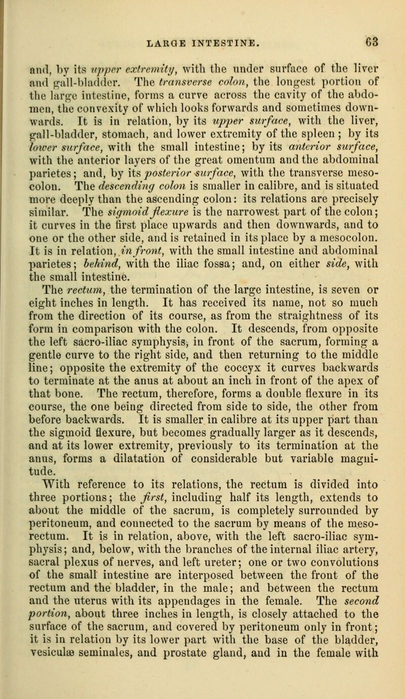 LARGE INTESTINE. 03 and, by its upper extremity, with the under surface of the liver and ^jill-bladder. The transverse colon, the longest portion of the large intestine, forms a curve across the cavity of the abdo- men, the convexity of which looks forwards and sometimes down- wards. It is in relation, by its up2)er surface, with the liver, gall-bladder, stomach, and lower extremity of the spleen ; by its loicer surface, with the small intestine; by its anterior surface, with the anterior layers of the great omentum and the abdominal parietes; and, by it?, posterior surface, with the transverse meso- colon. The descending colon is smaller in calibre, and is situated more deeply than the ascending colon: its relations are precisely similar. The sigmoid flexure is the narrowest part of the colon; it curves in the first place upwards and then downwards, and to one or the other side, and is retained in its place by a mesocolon. It is in relation, ^V^yro?^<, with the small intestine and abdominal parietes; behind, with the iliac fossa; and, on either side, with the small intestine. The rectum, the termination of the large intestine, is seven or eight inches in length. It has received its name, not so much from the direction of its course, as from the straightness of its form in comparison with the colon. It descends, from opposite the left sacro-iliac symphysis, in front of the sacrum, forming a gentle curve to the right side, and then returning to the middle line; opposite the extremity of the coccyx it curves backwards to terminate at the anus at about an inch in front of the apex of that bone. The rectum, therefore, forms a double flexure in its course, the one being directed from side to side, the other from before backwards. It is smaller in calibre at its upper part than the sigmoid flexure, but becomes gradually larger as it descends, and at its lower extremity, previously to its termination at the anus, forms a dilatation of considerable but variable magni- tude. With reference to its relations, the rectum is divided into three portions; the first, including half its length, extends to about the middle of the sacrum, is completely surrounded by peritoneum, and connected to the sacrum by means of the meso- rectum. It is in relation, above, with the left sacro-iliac sym- physis ; and, below, with the branches of the internal iliac artery, sacral plexus of nerves, and left ureter; one or two convolutions of the small intestine are interposed between the front of the rectum and the bladder, in the male; and between the rectum and the uterus with its appendages in the female. The second portion, about three inches in length, is closely attached to the surface of the sacrum, and covered by peritoneum only in front; it is in relation by its lower part with the base of the bladder, vesiculsB seminales, and prostate gland, and in the female with