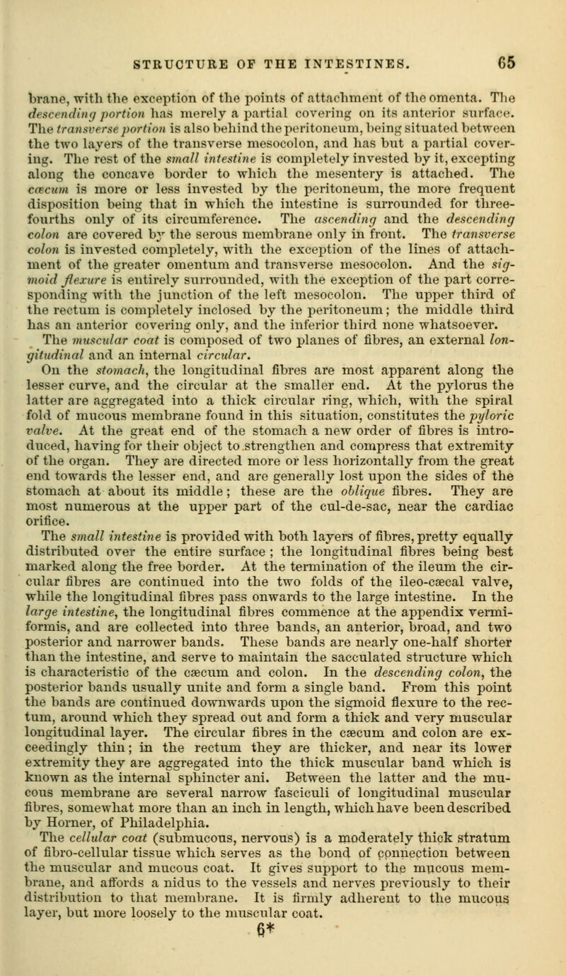 brane, witli the exception of the points of attachment of the omenta. The descending portion has merely a partial covering on its anterior surface. The transverse portion is also behind the peritoneum, being situated between the two layers of the transverse mesocolon, and has but a partial cover- ing. The rest of the small intestine is completely invested by it, excepting along the concave border to which the mesentery is attached. The ccecwn is more or less invested by the peritoneum, the more frequent disposition being that in which the intestine is surrounded for three- fourths only of its circumference. The ascending and the descending colon are covered by the serous membrane only in front. The transverse colon is invested completely, with the exception of the lines of attach- ment of the greater omentum and transverse mesocolon. And the sig- moid flexure is entirely surrounded, with the exception of the part corre- sponding with the junction of the left mesocolon. The upper third of the rectum is completely inclosed by the peritoneum; the middle third has an anterior covering only, and the inferior third none whatsoever. The muscular coat is composed of two planes of fibres, an external lon- gitudinal and an internal circular. On the stomach, the longitudinal fibres are most apparent along the lesser curve, and the circular at the smaller end. At the pylorus the latter are aggregated into a thick circular ring, which, with the spiral fold of mucous membrane found in this situation, constitutes the pyloric valve. At the great end of the stomach a new order of fibres is intro- duced, having for their object to strengthen and compress that extremity of the organ. They are directed more or less horizontally from the great end towards the lesser end, and are generally lost upon the sides of the stomach at about its middle; these are the oblique fibres. They are most numerous at the upper part of the cul-de-sac, near the cardiac orifice. The small intestine is provided with both layers of fibres, pretty equally distributed over the entire surface ; the longitudinal fibres being best marked along the free border. At the termination of the ileum the cir- cular fibres are continued into the two folds of the ileo-caecal valve, while the longitudinal fibres pass onwards to the large intestine. In the large intestine, the longitudinal fibres commence at the appendix vermi- formis, and are collected into three bands, an anterior, broad, and two posterior and narrower bands. These bands are nearly one-half shorter than the intestine, and serve to maintain the sacculated structure which is characteristic of the caecum and colon. In the descending colon, the posterior bands usually unite and form a single band. From this point the bands are continued downwards upon the sigmoid flexure to the rec- tum, around which they spread out and form a thick and very muscular longitudinal layer. The circular fibres in the csecum and colon are ex- ceedingly thin; in the rectum they are thicker, and near its lower extremity they are aggregated into the thick muscular band which is known as the internal sphincter ani. Between the latter and the mu- cous membrane are several narrow fasciculi of longitudinal muscular fibres, somewhat more than an inch in length, which have been described by Horner, of Philadelphia. The cellular coat (submucous, nervous) is a moderately thick stratum of fibro-cellular tissue which serves as the bond of connection between the muscular and mucous coat. It gives support to the mucous mem- brane, and afiords a nidus to the vessels and nerves previously to their distribution to that membrane. It is firmly adherent to the mucous layer, but more loosely to the muscular coat.