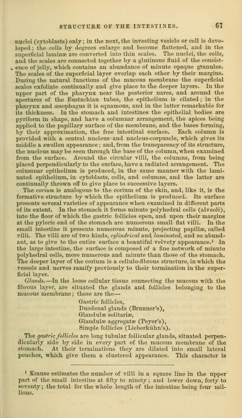 nijLclei (cytoblasts) only; in the next, the investing vesicle or cell is deve- loped ; tiie cells by degrees enlarge and become flattened, and in the superficial lamina) are converted into thin scales. The nuclei, the cells, and the scales are connected together by a glutinous fluid of the consist- ence of jelly, which contains an abundance of minute opaque granules. The scales of the superficial layer overlap each other by their margins. During the natural functions of the mucous membrane the superficial scales exfoliate continually and give place to the deeper layers. In the upper part of the pharynx near the posterior nares, and around the apertures of the Eustachian tubes, the epithelium is cilated ; in the pharynx and oesophagus it is squamous, and in the latter remarkable for its thickness. In the stomach and intestines the epithelial bodies are pyriform in shape, and have a columnar arrangement, the apices being applied to the papillary surface of the membrane, and the bases forming, by their approximation, the free intestinal surface. Each column is provided with a central nucleus ■ and nucleus-corpuscle, which gives its middle a swollen appearance ; and, from the transparency of its structure, the nucleus may be seen through the base of the column, when examined from the surface. Around the circular villi, the columns, from being placed perpendicularly to the surface, have a radiated arrangement. The columnar epithelium is produced, in the same manner with the lami- nated epithelium, in cytoblasts, cells, and columns, and the latter are continually thrown oflf to give place to successive layers. The corium is analogous to the corium of the skin, and, like it, is the formative structure by which the epithelium is produced. Its surface presents several varieties of appearance when examined in difi'erent parts of its extent. In the stomach it forms minute polyhedral cells (alveoli), into the floor of which the gastric follicles open, and upon their margins at the pyloric end of the stomach are numerous small flat villi. In the small intestine it presents numerous minute, projecting papillae, called villi. Tlie villi are of two kinds, cylindrical and laminated, and so abund- ant, as to give to the entire surface a beautiful velvety appearance.' In the large intestine, the surface is composed of a fine network of minute polyhedral cells, more numerous and minute than those of the stomach. The deeper layer of the corium is a cellulo-fibrous structure, in which the vessels and nerves ramify previously to their termination in the super- ficial layer. Glands.—In the loose cellular tissue connecting the mucous with the fibrous layer, are situated the glands and follicles belonging to the mucous membrane; these are the— Gastric follicles. Duodenal glands (Brunner's), Glandulse solitariae, Glandulse aggregate (Peyer's), Simple follicles (Lieberkiihn's). The gastric follicles are long tubular follicular glands, situated perpen- dicularly side by side in every part of the mucous membrane of the stomach. At their terminations they are dilated into small lateral pouches, which give them a clustered appearance. This character is • Krause estimates the number of villi in a square line in the upper part of the small intestine at fifty to ninety ; and lower down, forty to seventy; the total for the whole length of the intestine being four mil- lions.