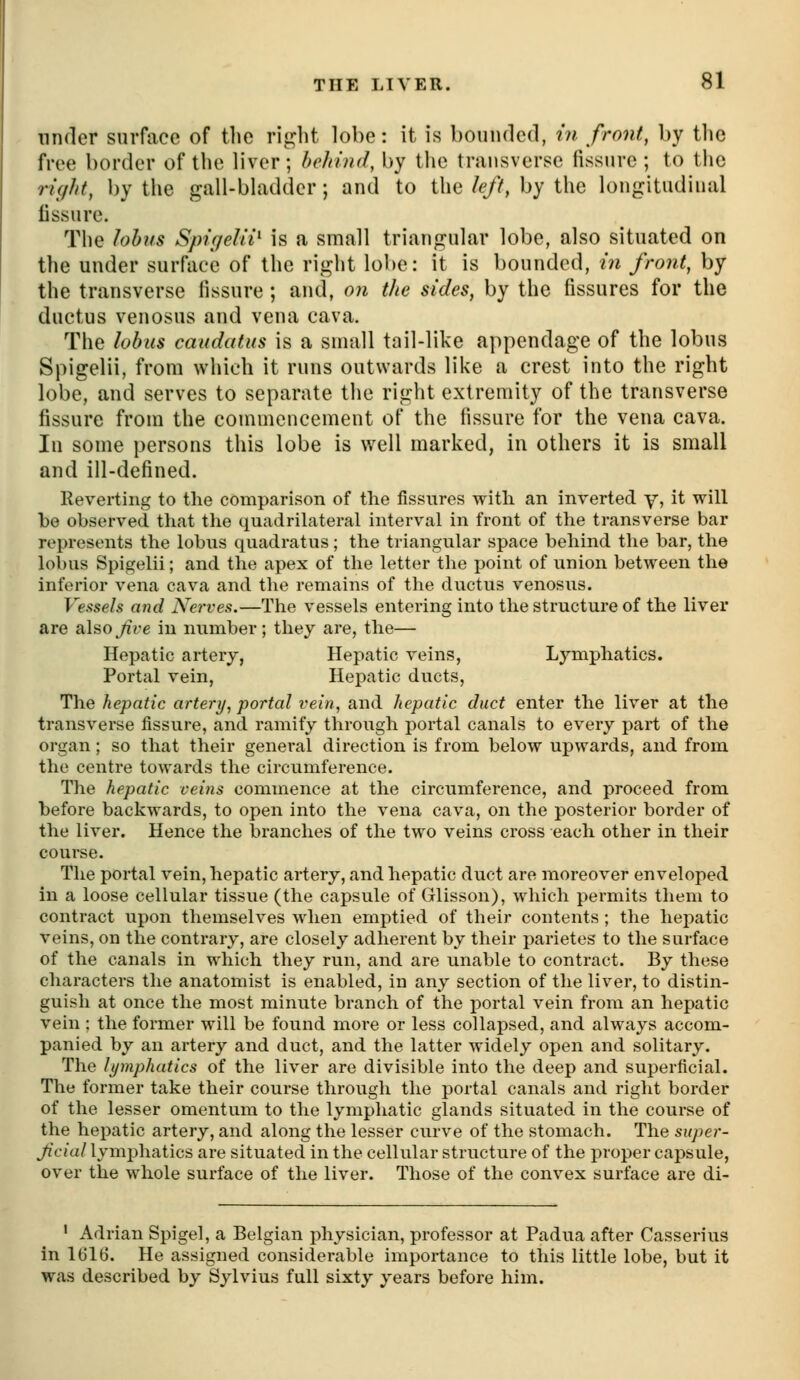 under surface of the rij^lit lobe: it is bounded, in front, by tlie free border of the liver; behind, by the transverse fissure ; to the ri(/ht, by the gall-bladder; and to the left, by the longitudinal fissure. The hbus Spifjelii^ is a small triangular lobe, also situated on the under surface of the riglit lobe: it is bounded, in front, by the transverse fissure ; and, on the sides, by the fissures for the ductus venosus and vena cava. The lobus caudatus is a small tail-like appendage of the lobus Spigelii, from which it runs outwards like a crest into the right lobe, and serves to separate the right extremity of the transverse fissure from the commencement of the fissure for the vena cava. In some persons this lobe is v/ell marked, in others it is small and ill-defined. Reverting to the comparison of the fissures with an Inverted y, it will he observed that the quadrilateral interval in front of the transverse bar represents the lobus quadratus; the triangular space behind the bar, the lobus Spigelii; and the apex of the letter the point of union between the inferior vena cava and the remains of the ductus venosus. Vessels ami Nerves.—The vessels entering into the structure of the liver are alsoy?re in number; they are, the— Hepatic artery, Hepatic veins. Lymphatics. Portal vein. Hepatic ducts, The hepatic artery, portal vein, and hepatic duct enter the liver at the transvei'se fissure, and ramify through portal canals to every part of the organ; so that their general direction is from below upwards, and from the centre towards the circumference. The hepatic veins commence at the circumference, and proceed from before backwards, to open into the vena cava, on the posterior border of the liver. Hence the branches of the two veins cross each other in their course. The portal vein, hepatic artery, and hepatic duct are moreover enveloped in a loose cellular tissue (the capsule of Glisson), which permits them to contract upon themselves when emptied of their contents ; the heiDatic veins, on the contrary, are closely adherent by their parietes to the surface of the canals in which they run, and are unable to contract. By these characters the anatomist is enabled, in any section of the liver, to distin- guish at once the most minute branch of the portal vein from an hepatic vein ; the former will be found more or less collapsed, and always accom- panied by an artery and duct, and the latter widely open and solitary. The lymphatics of the liver are divisible into the deep and superficial. The former take their course through the portal canals and right border of the lesser omentum to the lymphatic glands situated in the course of the hepatic artery, and along the lesser curve of the stomach. The super- Jicial lymphatics are situated in the cellular structure of the j^roper capsule, over the whole surface of the liver. Those of the convex surface are di- ' Adrian Spigel, a Belgian physician, professor at Padua after Casserius in 1616. He assigned considerable importance to this little lobe, but it was described by Sylvius full sixty years before him.
