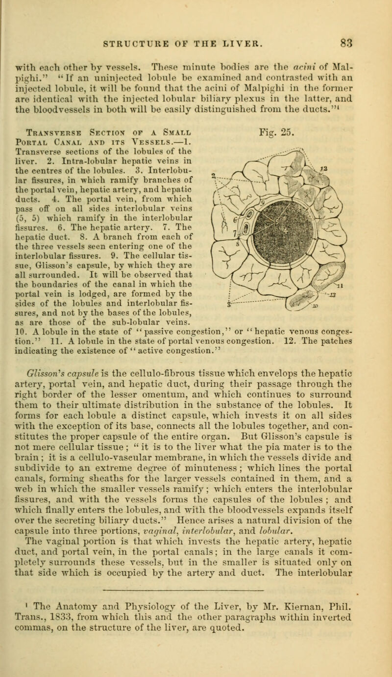 with each other hy vessels. These minute hodies are the acini of Mal- pighi. If an uninjected lobule be examined and contrasted with an injected lobule, it will be found that the acini of Malpiglii in the former are identical with the injected lobular biliary plexus in the latter, and the bloodvessels in both will be easily distinguished from the ducts.' Fig. 25. Transverse Sectiox of a Small Portal Canal and its Vessels.—1. Transverse sections of the lobules of the liver. 2. Intra-lobular hepatic veins in the centres of the lobules. 3. Interlobu- lar fissures, in which ramify branches of the portal vein, hepatic artery, and hepatic ducts. 4. The portal vein, from which pass off on all sides interlobular veins (5, 5) which ramify in the interlobular fissures. 6. The hepatic artery. 7. The hepatic duct. 8. A branch from each of the three vessels seen entering one of the interlobular fissures. 9. The cellular tis- sue, Glisson's capsule, by which they are all surrounded. It will be observed that the boundaries of the canal in which the portal vein is lodged, are formed by the sides of the lobules and interlobular fis- sures, and not by the bases of the lobules, as are those of the sub-lobular veins. 10. A lobule in the state of passive congestion, or hepatic venous conges- tion. 11. A lobule in the state of portal venous congestion. 12. The patches indicating the existence of  active congestion. Glisson\^ capsule is the cellulo-fibrous tissue which envelops the hepatic artery, portal vein, and hepatic duct, during their passage through the right border of the lesser omentum, and which continues to surround them to their ultimate distribution in the substance of the lobules. It forms for each lobule a distinct capsule, which invests it on all sides with the exception of its base, connects all the lobules together, and con- stitutes the proper capsule of the entire organ. But Glisson's capsule is not mere cellular tissue ;  it is to the liver what the pia mater is to the brain ; it is a cellulo-vaseular membrane, in which the vessels divide and subdivide to an extreme degree of minuteness ; which lines the portal canals, fonning sheaths for the larger vessels contained in them, and a web in which the smaller vessels ramify; which enters the interlobular fissures, and with the vessels forms the capsules of the lobules ; and which finally enters the lobules, and with the bloodvessels expands itself over the secreting biliary ducts. Hence arises a natural division of the capsule into three portions, vaginal, interlobular, and lobular. The vaginal portion is that which invests the hepatic artery, hepatic duct, and portal vein, in the portal canals; in the large canals it com- pletely surrounds these vessels, but in the smaller is situated only on that side which is occupied by the artery and duct. The interlobular ' The Anatomy and Physiology of the Liver, by Mr. Kiernan, Phil. Trans., 1833, from which this and the other paragraphs within inverted commas, on the structure of the liver, are quoted.