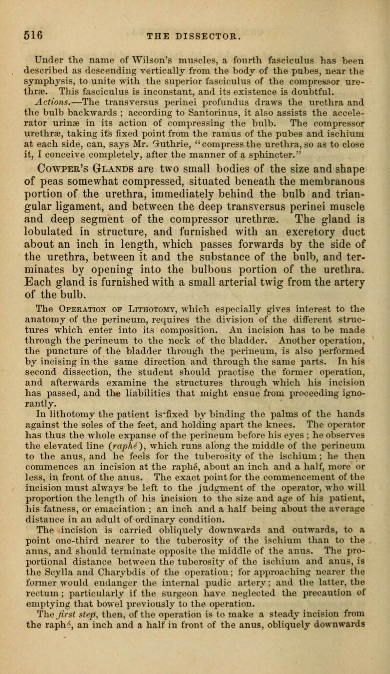 Under the name of Wilson's muscles, a fourth fasciculus has been described as descending vertically from the body of the pubes, near the symphysis, to unite with the superior fasciculus of the compressor ure- thrse. This fasciculus is inconstant, and its existence is doubtful. Actions.—The trans versus perinei profundus draws the urethra and the bulb backwards ; according to Santorinus, it also assists the accele- rator urinae in its action of compressing the bulb. The compressor urethrae, taking its fixed point from the ramus of the pubes and ischium at each side, can, says Mr. Gruthrie, compress the urethra, so as to close it, I conceive completely, after the manner of a sphincter. Cowper's Glands are two small bodies of the size and shape of peas somewhat compressed, situated beneath the membranous portion of the urethra, immediately behind the bulb and trian- gular ligament, and between the deep transversus perinei muscle and deep segment of the compressor urethrae. The gland is lobulated in structure, and furnished with an excretory duct about an inch in length, which passes forwards by the side of the urethra, between it and the substance of the bulb, and ter- minates by opening into the bulbous portion of the urethra. Each gland is furnished with a small arterial twig from the artery of the bulb. The Operation of Lithotomy, which especially gives interest to the anatomy of the perineum, requires the division of the different struc- tures which enter into its composition. An incision has to be made through the perineum to the neck of the bladder. Another operation, the puncture of the bladder through the perineum, is also performed by incising in the same direction and through the same parts. In his second dissection, the student should practise the former operation, and afterwards examine the structures through which his incision has passed, and the liabilities that might ensue from proceeding igno- rantly. In lithotomy the patient is'fixed by binding the palms of the hands against the soles of the feet, and holding apart the knees. The operator has thus the whole expanse of the perineum before his eyes ; he observes the elevated line (raphe )^ which runs along the middle of the perineum to the anus, and he feels for the tuberosity of the ischium ; he then commences an incision at the raphe, about an inch and a half, more or less, in front of the anus. The exact point for the commencement of the incision must always be left to the judgment of the operator, who will proportion the length of his incision to the size and age of his patient, his fatness, or emaciation ; an inch and a half being about the average distance in an adult of ordinary condition. The incision is carried obliquely downwards and outwards, to a point one-third nearer to the tuberosity of the ischium than to the anus, and should tenninate opposite the middle of the anus. Tlie pro- portional distance between the tuberosity of the ischium and anus, is the Scylla and Charybdis of the operation; for approaching nearer the former would endanger the internal pudic artery; and the latter, the rectum ; particularly if the surgeon have neglected the precaution of emptying that bowel previously to the operation. Thii first step, then, of tlie operation is to make a steady incision from the raph'', an inch and a half in front of the anus, obliquely downwards