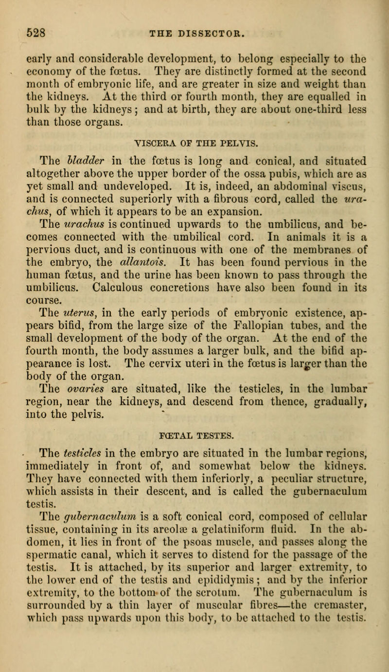 early and considerable development, to belong especially to the economy of the foetus. They are distinctly formed at the second month of embryonic life, and are prreater in size and weight than the kidneys. At the third or fourth month, they are equalled in bulk by the kidneys; and at birth, they are about one-third less than those organs. VISCERA OF THE PELVIS. The hladder in the foetus is long and conical, and situated altogether above the upper border of the ossa pubis, which are as yet small and undeveloped. It is, indeed, an abdominal viscus, and is connected superiorly with a fibrous cord, called the ura- chus, of which it appears to be an expansion. The urachus is continued upwards to the umbilicus, and be- comes connected with the umbilical cord. In animals it is a pervious duct, and is continuous with one of the membranes of the embryo, the allantois. It has been found pervious in the human foetus, and the urine has been known to pass through the umbilicus. Calculous concretions have also been found in its course. The uterus, in the early periods of embryonic existence, ap- pears bifid, from the large size of the Fallopian tubes, and the small development of the body of the organ. At the end of the fourth month, the body assumes a larger bulk, and the bifid ap- pearance is lost. The cervix uteri in the foetus is larger than the body of the organ. The ovaries are situated, like the testicles, in the lumbar region, near the kidneys, and descend from thence, gradually, into the pelvis. FCETAL TESTES. The testicles in the embryo are situated in the lumbar regions, immediately in front of, and somewhat below the kidneys. They have connected with them inferiorly, a peculiar structure, which assists in their descent, and is called the gubernaculum testis. The gubernaculum is a soft conical cord, composed of cellular tissue, containing in its arcolic a gclatiniform fluid. In the ab- domen, it lies in front of the psoas muscle, and passes along the spermatic canal, which it serves to distend for the passage of the testis. It is attached, by its superior and larger extremity, to the lower end of the testis and epididymis; and by the inferior extremity, to the bottom of the scrotum. The gubernaculum is surrounded by a thin layer of muscular fibres—the cremaster, which pass upwards upon this body, to be attached to the testis.