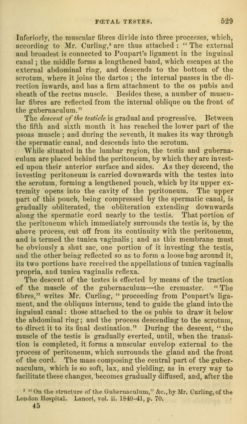 Inferiorly, the muscular fibres divide into three proce^^ses, which, according to Mr. Curling/ are thus attached :  The external and broadest is connected to Poupart's ligament in the inguinal canal ; the middle forms a lengthened band, which escapes at the external abdominal ring, and descends to the bottom of the scrotum, where it joins the dartos ; the internal passes in the di- rection inwards, and has a firm attachment to the os pubis and sheath of the rectus muscle. Besides these, a number of muscu- lar fibres are reflected from the internal oblique on the front of the gubernaculum. The descent of the testicle is gradual and progressive. Between the fifth and sixth month it has reached the lower part of the psoas muscle ; and during the seventh, it makes its way through the spermatic canal, and descends into the scrotum. While situated in the lumbar region, the testis and guberna- culum are placed behind the peritoneum, by which they are invest- ed upon their anterior surface and sides. As they descend, the investing peritoneum is carried downwards with the testes into the scrotum, forming a lengthened pouch, which by its upper ex- tremity opens into the cavity of the peritoneum. The upper part of this pouch, being compressed by the spermatic canal, is gradually obliterated, the obliteration extending downwards along the spermatic cord nearly to the testis. That portion of the peritoneum which immediately surrounds the testis is, by the above process, cut off from its continuity with the peritoneum, and is termed the tunica vaginalis; and as this membrane must be obviously a shut sac, one portion of it investing the testis, and the other being reflected so as to form a loose bag around it, its two portions have received the appellations of tunica vaginalis propria, and tunica vaginalis reflexa. The descent of the testes is effected by means of the traction of the muscle of the gubernaculum—the cremaster.  The fibres, writes Mr. Curling,  proceeding from Poupart's liga- ment, and the obliquus internus, tend to guide the gland into the inguinal canal: those attached to the os pubis to draw it below the abdominal ring; and the process descending to the scrotum, to direct it to its final destination. During the descent, ''the muscle of the testis is gradually everted, until, when the transi- tion is completed, it forms a muscular envelop external to the process of peritoneum, which surrounds the gland and the front of the cord. The mass composing the central part of the guber- naculum, which is so soft, lax, and yielding, as in every way to facilitate these changes, becomes gradually diffused, and, after the '  On the structure of the Gubernaculum, kc^hj Mr. Curling, of the London Hospital. Lancet, vol. ii. 1840-41, p. 70. 45