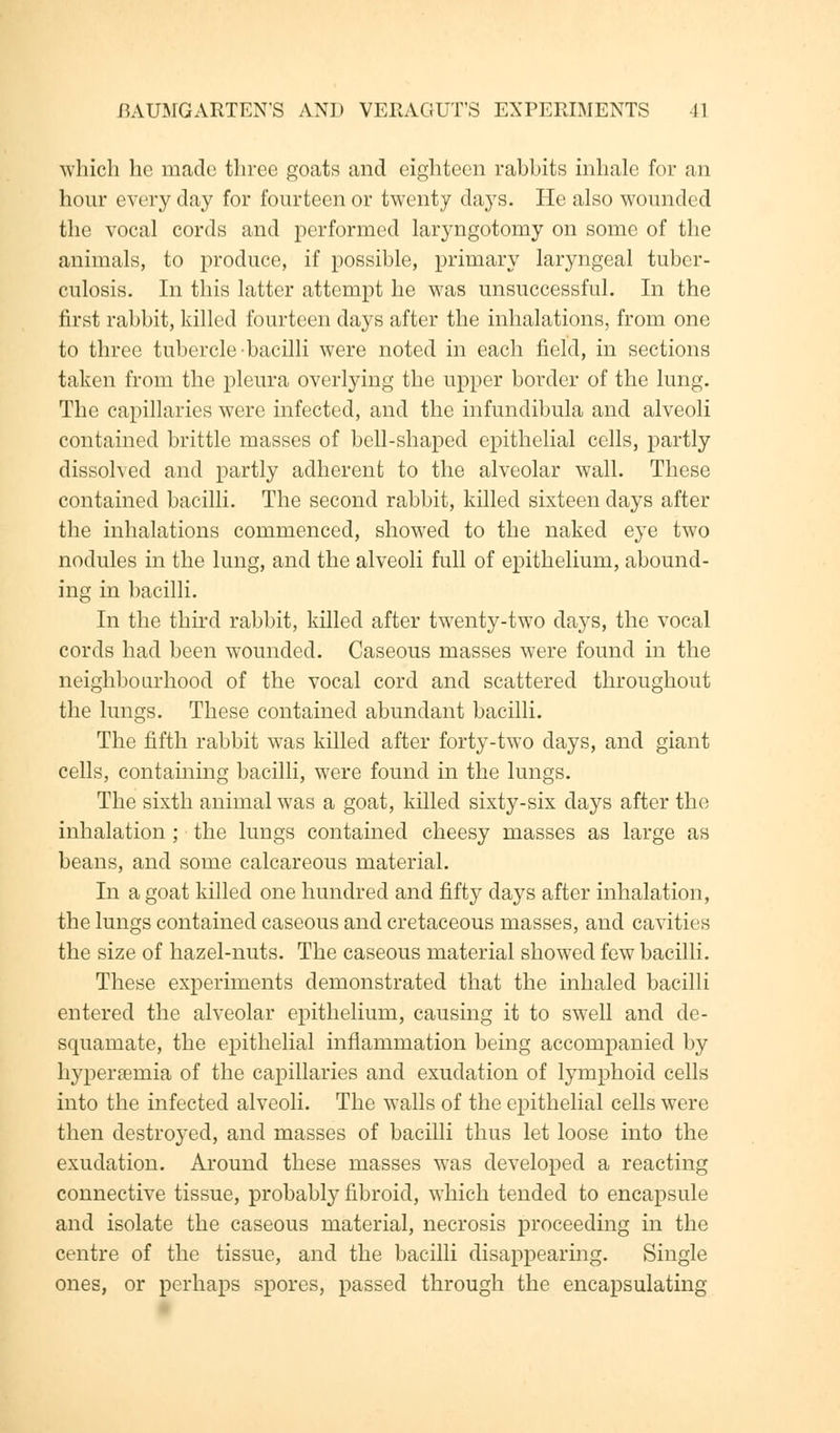 BAUMGARTENS AND VERAGUT'S EXPERIMENTS 11 which he made three goats and eighteen rabbits inhale for an hour every day for fourteen or twenty days. He also wounded the vocal cords and performed laryngotomy on some of the animals, to produce, if possible, primary laryngeal tuber- culosis. In this latter attempt he was unsuccessful. In the first rabbit, killed fourteen days after the inhalations, from one to three tubercle bacilli were noted in each field, in sections taken from the pleura overlying the upper border of the lung. The capillaries were infected, and the infundibula and alveoli contained brittle masses of bell-shaped epithelial cells, partly dissolved and partly adherent to the alveolar wall. These contained bacilli. The second rabbit, killed sixteen days after the inhalations commenced, showed to the naked eye two nodules in the lung, and the alveoli full of epithelium, abound- ing in bacilli. In the third rabbit, killed after twenty-two days, the vocal cords had been wounded. Caseous masses were found in the neighbourhood of the vocal cord and scattered throughout the lungs. These contained abundant bacilli. The fifth rabbit was killed after forty-two days, and giant cells, containing bacilli, were found in the lungs. The sixth animal was a goat, killed sixty-six days after the inhalation ; the lungs contained cheesy masses as large as beans, and some calcareous material. In a goat killed one hundred and fifty days after inhalation, the lungs contained caseous and cretaceous masses, and cavities the size of hazel-nuts. The caseous material showed few bacilli. These experiments demonstrated that the inhaled bacilli entered the alveolar epithelium, causing it to swell and de- squamate, the epithelial inflammation being accompanied by hyperemia of the capillaries and exudation of lymphoid cells into the infected alveoli. The walls of the epithelial cells were then destroyed, and masses of bacilli thus let loose into the exudation. Around these masses was developed a reacting connective tissue, probably fibroid, which tended to encapsule and isolate the caseous material, necrosis proceeding in the centre of the tissue, and the bacilli disappearing. Single ones, or perhaps spores, passed through the encapsulating