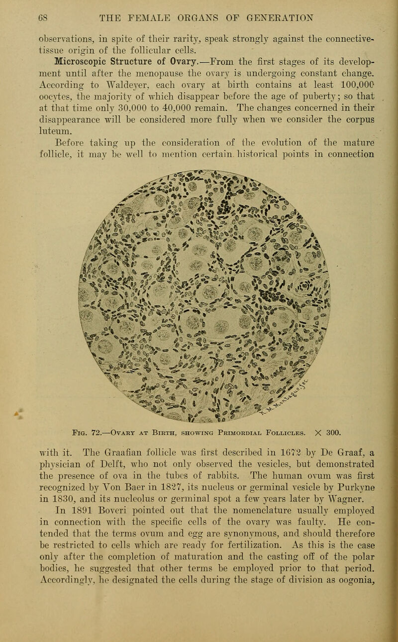 observations, in spite of their rarity, speak strongly against the connective- tissue origin of the follicular cells. Microscopic Structure of Ovary.—From the first stages of its develop- ment until after the menopause the ovary is undergoing constant change. According to Waldeyer, each ovary at birth contains at least 100,000 oocytes, tbe majority of which disappear before the age of puberty; so that at that time only 30,000 to 40,000 remain. The changes concerned in their disappearance will be considered more fully when we consider the corpus luteum. Before taking up the consideration of the evolution of the mature follicle, it may be well to mention certain historical points in connection Fig. 72.—Ovary at Birth, showing Primordial Follicles. X 300. with it. The Graafian follicle was first described in 1672 by De Graaf, a physician of Delft, who not only observed the vesicles, but demonstrated the presence of ova in the tubes of rabbits. The human ovum was first recognized by Von Baer in 1827, its nucleus or germinal vesicle by Purkyne in 1830, and its nucleolus or germinal spot a few years later by Wagner. In 1891 Boveri pointed out that the nomenclature usually employed in connection with the specific cells of the ovary was faulty. He con- tended that the terms ovum and egg are synonymous, and should therefore be restricted to cells which are ready for fertilization. As this is the case only after the completion of maturation and the casting off of the polar bodies, he suggested that other terms be employed prior to that period. Accordingly, he designated the cells during the stage of division as oogonia,