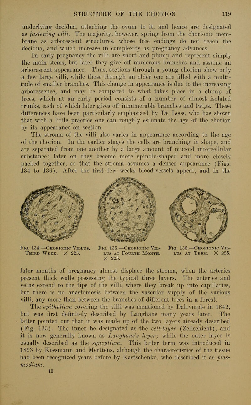 underlying decidua, attaching the ovum to it, and hence are designated as fastening villi. The majority, however, spring from the chorionic mem- brane as arborescent structures, whose free endings do not reach the decidua, and which increase in complexity as pregnancy advances. In early pregnancy the villi are short and plump and represent simply the main steins, but later they give off numerous branches and assume an arborescent appearance. Thus, sections through a young chorion show only a few large villi, while those through an older one are filled with a multi- tude of smaller branches. This change in appearance is due to the increasing arborescence, and may be compared to what takes place in a clump of trees, which at an early period consists of a number of almost isolated trunks, each of which later gives off innumerable branches and twigs. These differences have been particularly emphasized by De Loos, who has shown that with a little practice one can roughly estimate the age of the chorion by its appearance on section. The stroma of the villi also varies in appearance according to the age of the chorion. In the earlier stages the cells are branching in shape, and are separated from one another by a large amount of mucoid intercellular substance; later on they become more spindle-shaped and more closely packed together, so that the stroma assumes a denser appearance (Figs. 134 to 136). After the first few weeks blood-vessels appear, and in the -- If, *?** f  ** - 3« ## % « Wi A Fig. 134.—Chorionic Villus, Fig. 135.—Chorionic Vil- Fig. 136.—Chorionic Vil- Third Week. X 225. lus at Fourth Month. lus at Term. X 225. X 225. later months of pregnancy almost displace the stroma, when the arteries present thick walls possessing the typical three layers. The arteries and veins extend to the tips of the villi, where they break up into capillaries, but there is no anastomosis between the vascular supply of the various villi, any more than between the branches of different trees in a forest. The epithelium covering the villi was mentioned by Dalrymple in 1842, but was first definitely described by Langhans many years later. The latter pointed out that it was made up of the two layers already described (Fig. 133). The inner he designated as the cell-layer (Zellschicht), and it is now generally known as Langlians's layer; while the outer layer is usually described as the syncytium. This latter term was introduced in 1893 by Kossmann and Merttens, although the characteristics of the tissue had been recognized years before by Kastschenko, who described it as Plas- modium. 10