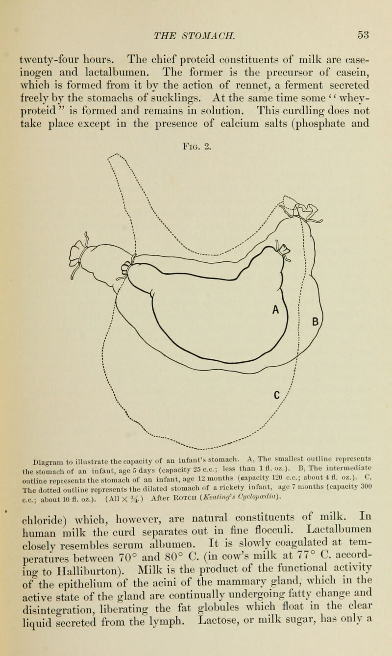 twenty-four hours. The chief proteid constituents of milk are case- inogen and lactalbumen. The former is the precursor of casein, which is formed from it by the action of rennet, a ferment secreted freely by the stomachs of sucklings. At the same time some '' whey- proteid  is formed and remains in solution. This curdling does not take place except in the presence of calcium salts (phosphate and Fig. 2. \ / Diagram to illustrate the capacity of au infants stomach. A, The smallest outline represents the stomach of an infant, age 5 days (capacity 25 c.c; less than 1 fl. oz.). B. The intermediate outline repiesents the stomach of an infant, age 12 months (eapacity 120 c.c; about 4 fl. oz.). ( . The dotted outline represents the dilated stomach of a rickety infant, age 7 months (capacity 300 c.c.; about 10 fl. oz.). (AllX%.) After BOTCH {.Beating's Cyclopaedia). chloride) which, however, are natural constituents of milk. In human milk the curd separates out in fine flocculi. Lactalbumen closely resembles serum albumen. It is slowly coagulated at tem- peratures between 70° and 80° C. (in cow's milk at 77° C. accord- ing to Halliburton). Milk is the product of the functional activity of the epithelium of the acini of the mammary gland, which in the active state of the gland are continually undergoing fatty change and disintegration, liberating the fat globules which float in the clear liquid secreted from the lymph. Lactose, or milk sugar, has only a