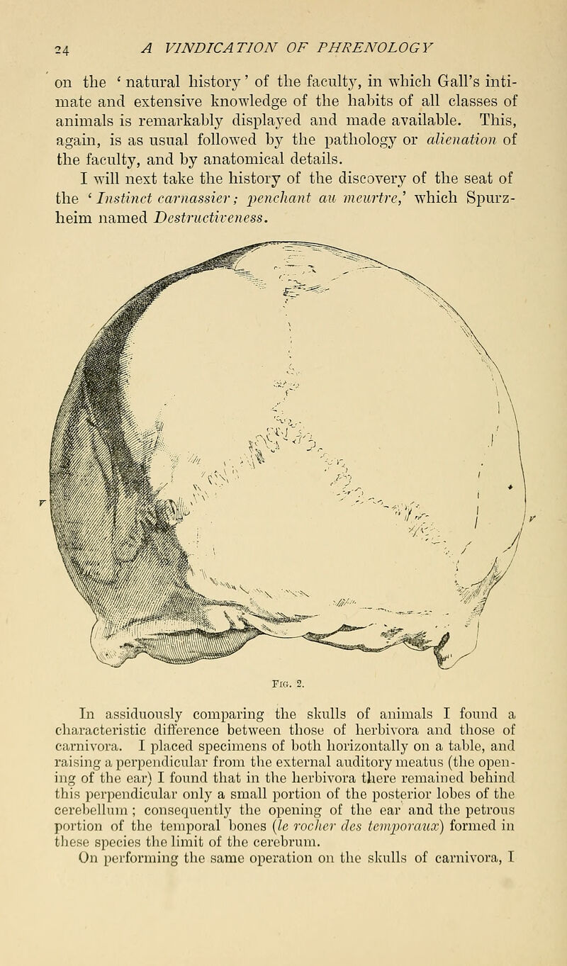 on the ' natural history' of the faculty, in which Gall's inti- mate and extensive knowledge of the habits of all classes of animals is remarkably displayed and made available. This, again, is as usual followed by the pathology or alienation of the faculty, and by anatomical details. I will next take the history of the discovery of the seat of the ' Instinct carnassier; penchant au meurtre,' which Spurz- heim named Destructiveness. In assiduously comparing the skulls of animals I found a characteristic difference between those of herbivora and those of carnivora. I placed specimens of both horizontally on a table, and raising a perpendicular from the external auditory meatus (the open- ing of the ear) I found that in the herbivora there remained behind this perpendicular only a small portion of the posterior lobes of the cerebellum ; consequently the opening of the ear and the petrous portion of the temporal bones (le rocker des lemporaux) formed in these species the limit of the cerebrum. On performing the same operation on the skulls of carnivora, I