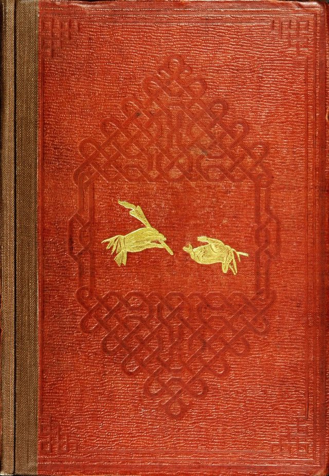 No text description is available for this image