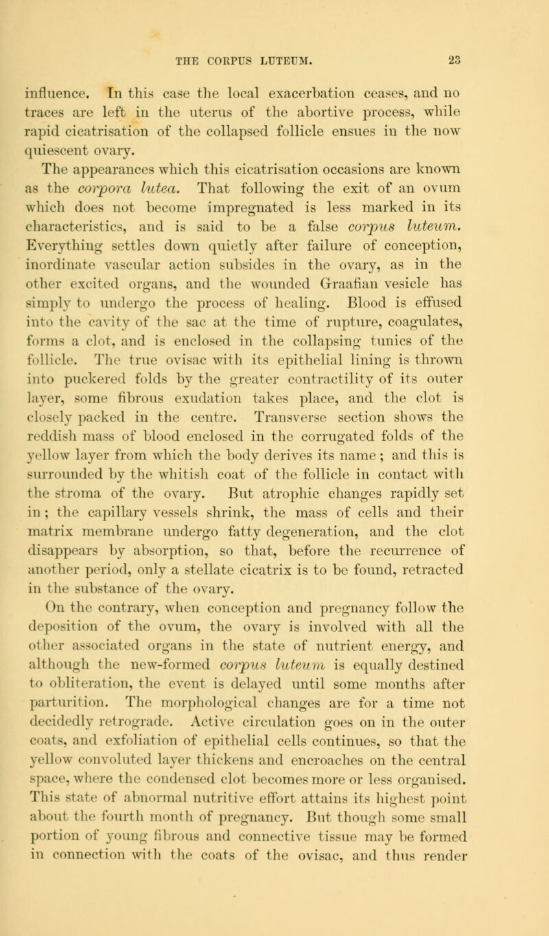 influence. In this case the local exacerbation ceases, and no traces are left in the uterus of the abortive process, while rapid cicatrisation of the collapsed follicle ensues in the now quiescent ovary. The appearances which this cicatrisation occasions are known as the corpora lutea. That following the exit of an ovum which does not become impregnated is less marked in its characteristics, and is said to be a false corpus luteum. Everything settles down quietly after failure of conception, inordinate vascular action subsides in the ovary, as in the other excited organs, and the wounded Graafian vesicle has simply to undergo the process of healing. Blood is effused into the cavity of the sac at the time of rupture, coagulates, forms a clot, and is enclosed in the collapsing tunics of the follicle. The true ovisac with its epithelial lining is thrown into puckered folds by the greater contractility of its outer layer, some fibrous exudation takes place, and the clot is closely packed in the centre. Transverse section shows the reddish mass of blood enclosed in the corrugated folds of the yellow layer from which the body derives its name ; and this is surrounded by the whitish coat of the follicle in contact with the stroma of the ovary. But atrophic changes rapidly set in ; the capillary vessels shrink, the mass of cells and their matrix membrane undergo fatty degeneration, and the clot disappears by absorption, so that, before the recurrence of another period, only a stellate cicatrix is to be found, retracted in the substance of the ovary. On the contrary, when conception and pregnancy follow the deposition of the ovum, the ovary is involved with all the other associated organs in the state of nutrient energy, and although the new-formed corpus luteum is equally destined fco obliteration, the event is delayed until some months after parturition. The morphological changes are for a time not decidedly retrograde. Active circulation goes on in the outer coats, and exfoliation of epithelial cells continues, so that the yellow convoluted layer thickens and encroaches on the central space, where the condensed clot becomes more or less organised. This state of abnormal nutritive effort attains its highest point aboul the fourth month of pregnancy. But though some small portion of young fibrous and connective tissue may be formed in connection with the coats of the ovisac, and thus render