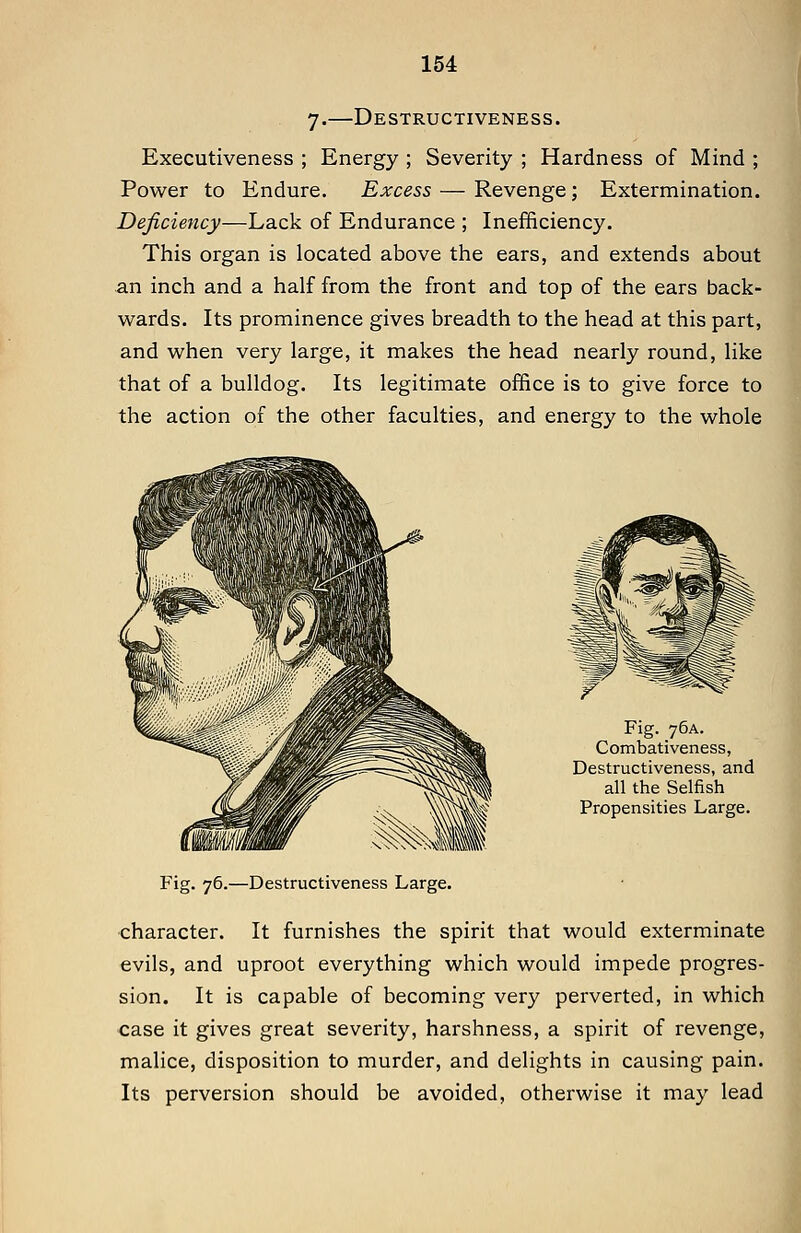 7-—Destructiveness. Executiveness ; Energy ; Severity ; Hardness of Mind ; Power to Endure. Excess — Revenge; Extermination. Deficiency—Lack of Endurance ; Inefficiency. This organ is located above the ears, and extends about an inch and a half from the front and top of the ears back- wards. Its prominence gives breadth to the head at this part, and when very large, it makes the head nearly round, like that of a bulldog. Its legitimate office is to give force to the action of the other faculties, and energy to the whole Fig. 76A. Combativeness, Destructiveness, and all the Selfish Propensities Large. Fig. 76.—Destructiveness Large. character. It furnishes the spirit that would exterminate evils, and uproot everything which would impede progres- sion. It is capable of becoming very perverted, in which case it gives great severity, harshness, a spirit of revenge, malice, disposition to murder, and delights in causing pain. Its perversion should be avoided, otherwise it may lead A