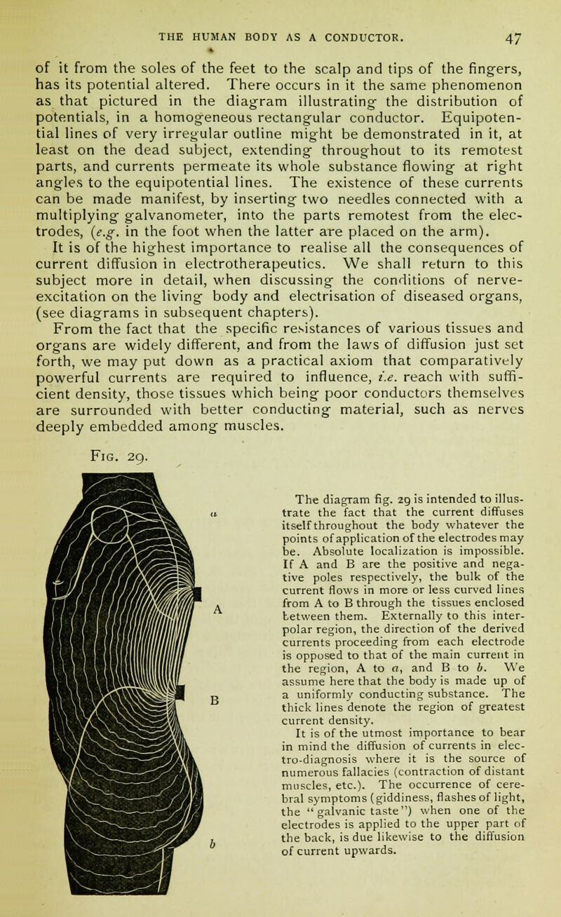 of it from the soles of the feet to the scalp and tips of the fingers, has its potential altered. There occurs in it the same phenomenon as that pictured in the diagram illustrating the distribution of potentials, in a homogeneous rectangular conductor. Equipoten- tial lines of very irregular outline might be demonstrated in it, at least on the dead subject, extending throughout to its remotest parts, and currents permeate its whole substance flowing at right angles to the equipotential lines. The existence of these currents can be made manifest, by inserting two needles connected with a multiplying galvanometer, into the parts remotest from the elec- trodes, {e.g. in the foot when the latter are placed on the arm). It is of the highest importance to realise all the consequences of current diffusion in electrotherapeutics. We shall return to this subject more in detail, when discussing the conditions of nerve- excitation on the living body and electrisation of diseased organs, (see diagrams in subsequent chapters). From the fact that the specific resistances of various tissues and organs are widely different, and from the laws of diffusion just set forth, we may put down as a practical axiom that comparatively powerful currents are required to influence, i.e. reach with suffi- cient density, those tissues which being poor conductors themselves are surrounded with better conducting material, such as nerves deeply embedded among muscles. Fig. 29. The diagram fig. 29 is intended to illus- trate the fact that the current diffuses itself throughout the body whatever the points of application of the electrodes may be. Absolute localization is impossible. If A and B are the positive and nega- tive poles respectively, the bulk of the current flows in more or less curved lines from A to B through the tissues enclosed between them. Externally to this inter- polar region, the direction of the derived currents proceeding from each electrode is opposed to that of the main current in the region, A to «, and B to b. We assume here that the body is made up of a uniformly conducting substance. The thick lines denote the region of greatest current density. It is of the utmost importance to bear in mind the diffusion of currents in elec- tro-diagnosis where it is the source of numerous fallacies (contraction of distant muscles, etc.). The occurrence of cere- bral symptoms (giddiness, flashes of light, the  galvanic taste) when one of the electrodes is applied to the upper part of the back, is due likewise to the diffusion of current upwards.