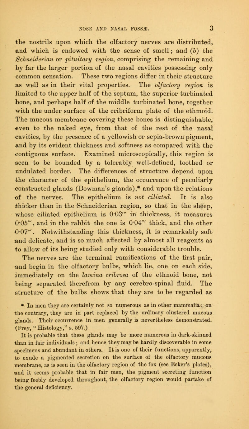 the nostrils upon which the olfactory nerves are distributed, and which is endowed with the sense of smell; and (b) the Schneiderian or pituitary region, comprising the remaining and by far the larger portion of the nasal cavities possessing only common sensation. These two regions differ in their structure as well as in their vital properties. The olfactory region is limited to the upper half of the septum, the superior turbinated bone, and perhaps half of the middle turbinated bone, together with the under surface of the cribriform plate of the ethmoid. The mucous membrane covering these bones is distinguishable, even to the naked eye, from that of the rest of the nasal cavities, by the presence of a yellowish or sepia-brown pigment, and by its evident thickness and softness as compared with the contiguous surface. Examined microscopically, this region is seen to be bounded by a tolerably well-defined, toothed or undulated border. The differences of structure depend upon the character of the epithelium, the occurrence of peculiarly constructed glands (Bowman's glands),* and upon the relations of the nerves. The epithelium is not ciliated. It is also thicker than in the Schneiderian region, so that in the sheep, whose ciliated epithelium is 0-03' in thickness, it measures 005', and in the rabbit the one is 0*04' thick, and the other 007'. Notwithstanding this thickness, it is remarkably soft and delicate, and is so much affected by almost all reagents as to allow of its being studied only with considerable trouble. The nerves are the terminal ramifications of the first pair, and begin in the olfactory bulbs, which lie, one on each side, immediately on the lamina cribrosa of the ethnoid bone, not being separated therefrom by any cerebro-spinal fluid. The structure of the bulbs shows that they are to be regarded as # In men they are certainly not so numerous as in other mammalia-; on the contrary, they are in part replaced by the ordinary clustered mucous glands. Their occurrence in men generally is nevertheless demonstrated. (Prey, Histology, s. 597.) It is probable that these glands may be more numerous in dark-skinned than in fair individuals ; and hence they may be hardly discoverable in some specimens and abundant in others. It is one of their functions, apparently, to exude a pigmented secretion on the surface of the olfactory mucous membrane, as is seen in the olfactory region of the fox (see Ecker's plates), and it seems probable that in fair men, the pigment secreting function being feebly developed throughout, the olfactory region would partake of the general deficiency.