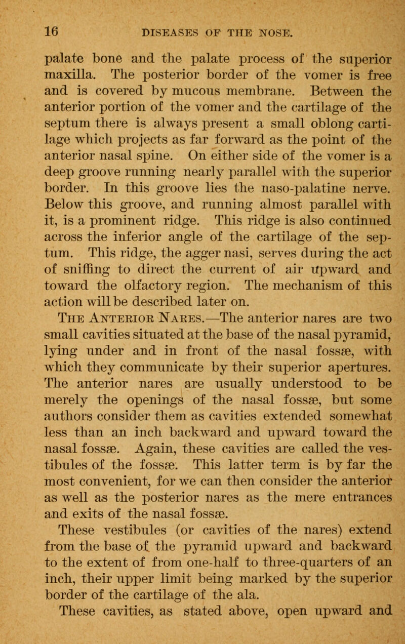 palate bone and the palate process of the superior maxilla. The posterior border of the vomer is free and is covered by mucous membrane. Between the anterior portion of the vomer and the cartilage of the septum there is always present a small oblong carti- lage which projects as far forward as the point of the anterior nasal spine. On either side of the vomer is a deep groove running nearly parallel with the superior border. In this groove lies the naso-palatine nerve. Below this groove, and running almost parallel with it, is a prominent ridge. This ridge is also continued across the inferior angle of the cartilage of the sep- tum. This ridge, the agger nasi, serves during the act of sniffing to direct the current of air upward and toward the olfactory region. The mechanism of this action will be described later on. The Anterior Nares.—The anterior nares are two small cavities situated at the base of the nasal pyramid, lying under and in front of the nasal fossae, with which they communicate by their superior apertures. The anterior nares are usually understood to be merely the openings of the nasal fossae, but some authors consider them as cavities extended somewhat less than an inch backward and upward toward the nasal fossae. Again, these cavities are called the ves- tibules of the fossae. This latter term is by far the most convenient, for we can then consider the anterior as well as the posterior nares as the mere entrances and exits of the nasal fossae. These vestibules (or cavities of the nares) extend from the base of the pyramid upward and backward to the extent of from one-half to three-quarters of an inch, their upper limit being marked by the superior border of the cartilage of the ala. These cavities, as stated above, open upward and