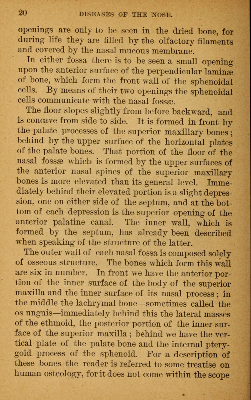 openings are only to be seen in the dried bone, for during life they are filled by the olfactory filaments and covered by the nasal mucous membrane. In either fossa there is to be seen a small opening upon the anterior surface of the perpendicular laminge of bone, which form the front wall of the sphenoidal cells. By means of their two openings the sphenoidal cells communicate with the nasal fossse. The floor slopes slightly from before backward, and is concave from side to side. It is formed in front by the palate processes of the superior maxillary bones ; behind by the upper surface of the horizontal plates of the palate bones. That portion of the floor of the nasal fossre which is formed by the upper surfaces of the anterior nasal spines of the superior maxillary bones is more elevated than its general level. Imme- diately behind their elevated portion is a slight depres- sion, one on either side of the septum, and at the bot- tom of each depression is the superior opening of the anterior palatine canal. The inner wall, which is formed by the septum, has already been described when speaking of the structure of the latter. The outer wall of each nasal fossa is composed solely of osseous structure. The bones which form this wall are six in number. In front we have the anterior por- tion of the inner surface of the body of the superior maxilla and the inner surface of its nasal process ; in the middle the lachrymal bone—sometimes called the os unguis—immediately behind this the lateral masses of the ethmoid, the posterior portion of the inner sur- face of the superior maxilla ; behind we have the ver- tical plate of the palate bone and the internal ptery- goid process of the sphenoid. For a description of these bones the reader is referred to some treatise on human osteology, for it does not come within the scope