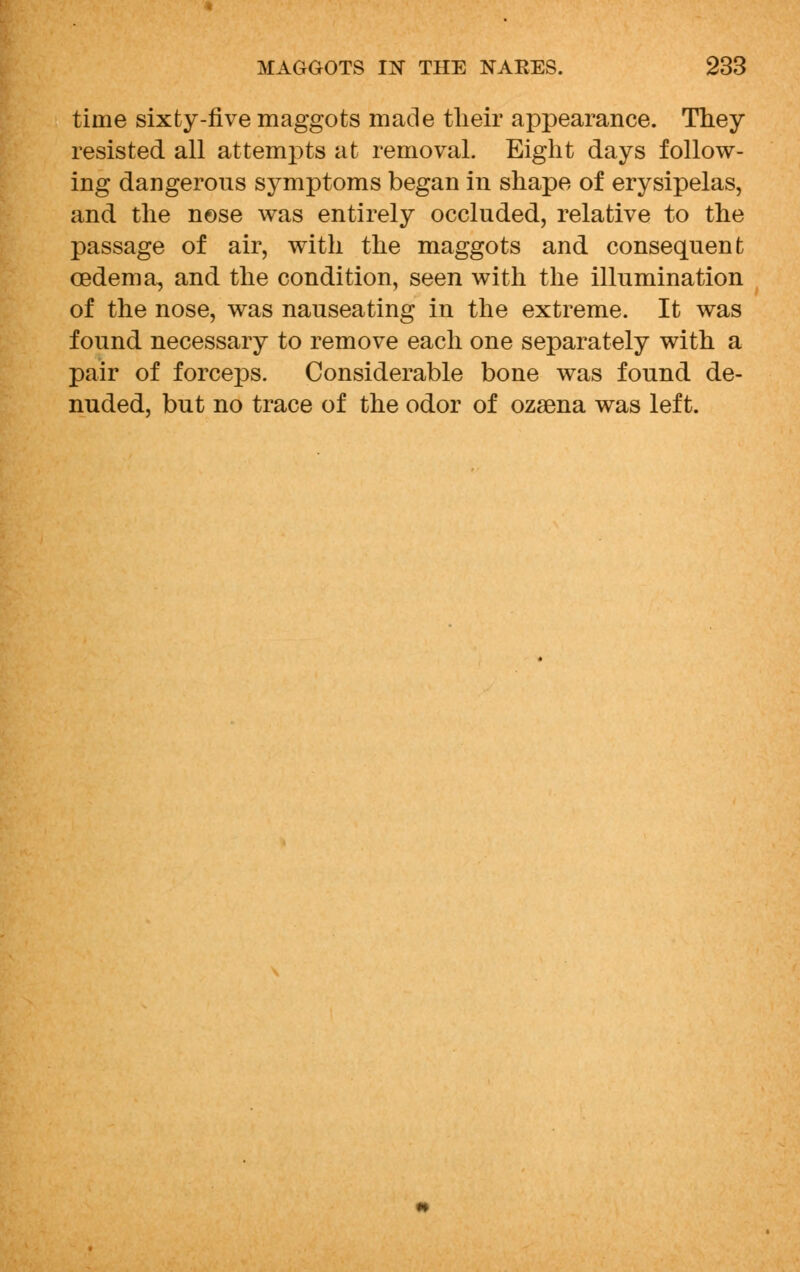 time sixty-five maggots made their appearance. They resisted all attempts at removal. Eight days follow- ing dangerous symptoms began in shape of erysipelas, and the nose was entirely occluded, relative to the passage of air, with the maggots and consequent oedema, and the condition, seen with the illumination of the nose, was nauseating in the extreme. It was found necessary to remove each one separately with a pair of forceps. Considerable bone was found de- nuded, but no trace of the odor of ozaena was left.