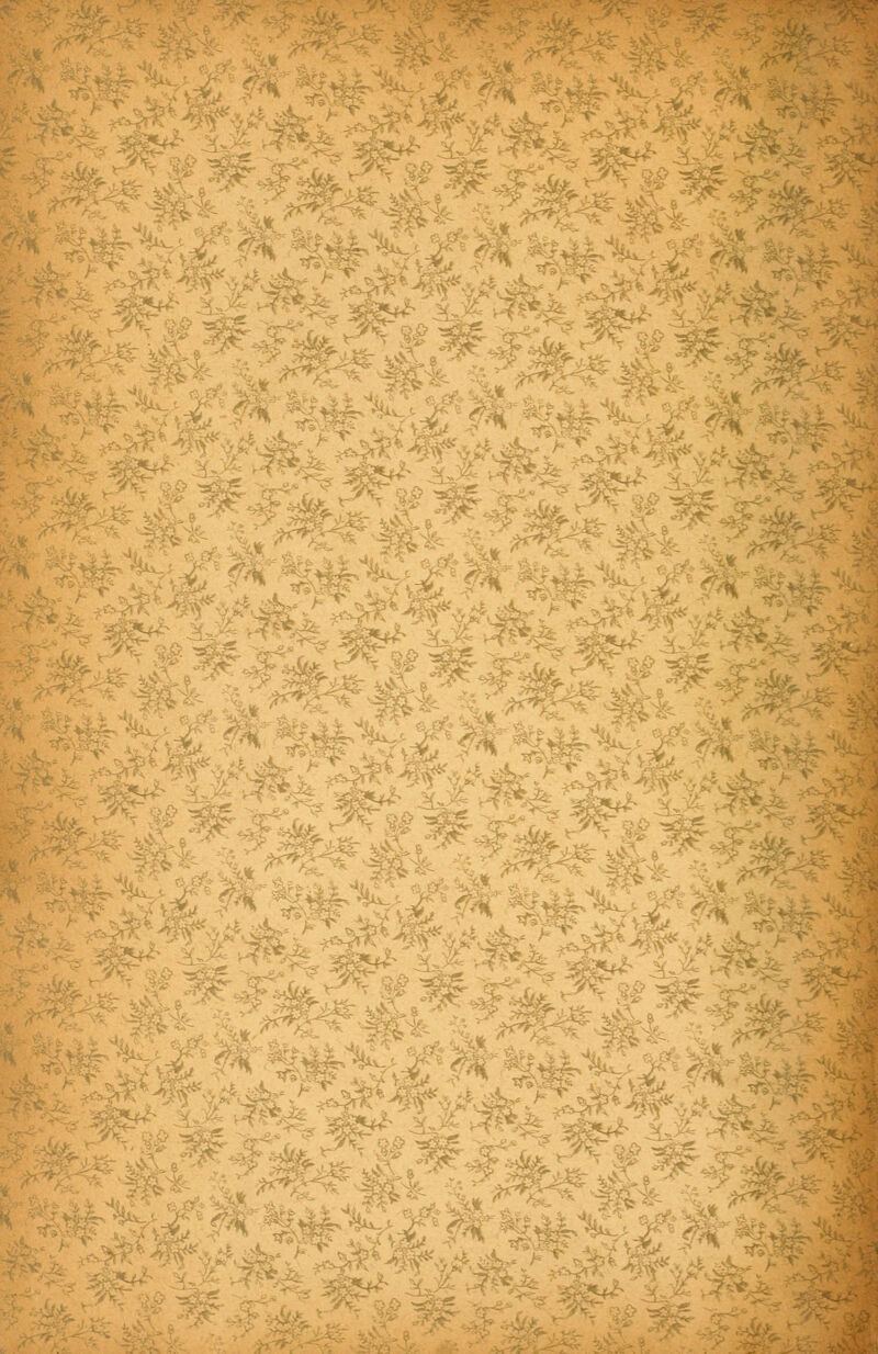 ,'* ß*r Oft >ilp ? ^5C*~ ,-, .1% i^S-o» - -^t ■ SP*, ^ '5 -