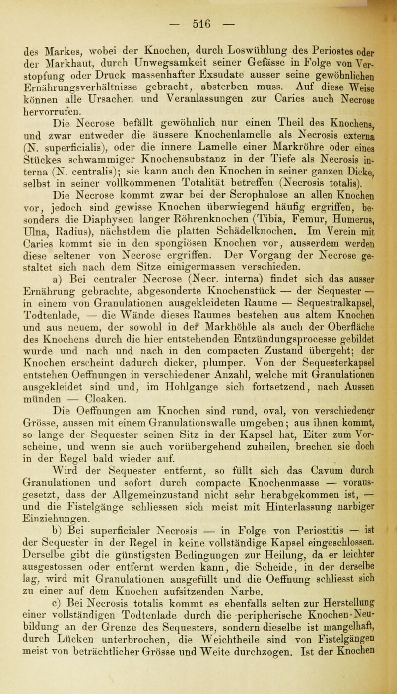 des Markes, wobei der Knochen, durch Loswühlung des Periostes oder der Markhaut, durch Unwegsamkeit seiner Gefässe in Folge von Ver- stopfung oder Druck massenhafter Exsudate ausser seine gewöhnlichen Ernährungsverhältnisse gebracht, absterben muss. Auf diese Weise können alle Ursachen und Veranlassungen zur Caries auch Necrose hervorrufen. Die Necrose befällt gewöhnlich nur einen Theil des Knochens und zwar entweder die äussere Knochenlamelle als Necrosis externa (N. superficialis), oder die innere Lamelle einer Markröhre oder eines Stückes schwammiger Knochensubstanz in der Tiefe als Necrosis in- terna (N. centralis); sie kann auch den Knochen in seiner ganzen Dicke, selbst in seiner vollkommenen Totalität betreffen (Necrosis totalis). Die Necrose kommt zwar bei der Scrophulose an allen Knochen vor, jedoch sind gewisse Knochen überwiegend häufig ergriffen, be- sonders die Diaphysen langer Röhrenknochen (Tibia, Femur, Humerus, Ulna, Radius), nächstdem die platten Schädelknochen. Im Verein mit Caries kommt sie in den spongiösen Knochen vor, ausserdem werden diese seltener von Necrose ergriffen. Der Vorgang der Necrose ge- staltet sich nach dem Sitze einigermassen verschieden. a) Bei centraler Necrose (Necr. interna) findet sich das ausser Ernährung gebrachte, abgesonderte Knochenstück — der Sequester — in einem von Granulationen ausgekleideten Räume — Sequestralkapsel, Todtenlade, — die Wände dieses Raumes bestehen aus altem Knochen und aus neuem, der sowohl in der Markhöhle als auch der Oberfläche des Knochens durch die hier entstehenden Entzündungsprocesse gebildet wurde und nach und nach in den compacten Zustand übergeht; der Knochen erscheint dadurch dicker, plumper. Von der Sequesterkapsel entstehen Oeffnungen in verschiedener Anzahl, welche mit Granulationen ausgekleidet sind und, im Hohlgange sich fortsetzend, nach Aussen münden — Cloaken. Die Oeffnungen am Knochen sind rund, oval, von verschiedener Grösse, aussen mit einem Granulationswalle umgeben; aus ihnen kommt, so lange der Sequester seinen Sitz in der Kapsel hat, Eiter zum Vor- scheine, und wenn sie auch vorübergehend zuheilen, brechen sie doch in der Regel bald wieder auf. Wird der Sequester entfernt, so füllt sich das Cavum durch Granulationen und sofort durch compacte Knochenmasse — voraus- gesetzt, dass der Allgemeinzustand nicht sehr herabgekommen ist, — und die Fistelgänge schliessen sich meist mit Hinterlassung narbiger Einziehungen. b) Bei superficialer Necrosis — in Folge von Periostitis — ist der Sequester in der Regel in keine vollständige Kapsel eingeschlossen. Derselbe gibt die günstigsten Bedingungen zur Heilung, da er leichter ausgestossen oder entfernt werden kann, die Scheide, in der derselbe lag, wird mit Granulationen ausgefüllt und die Oeffnung schliesst sich zu einer auf dem Knochen aufsitzenden Narbe. c) Bei Necrosis totalis kommt es ebenfalls selten zur Herstellung einer vollständigen Todtenlade durch die peripherische Knochen-Neu- bildung an der Grenze des Sequesters, sondern dieselbe ist mangelhaft, durch Lücken unterbrochen, die Weichtheile sind von Fistelgängen meist von beträchtlicher Grösse und Weite durchzogen. Ist der Knochen