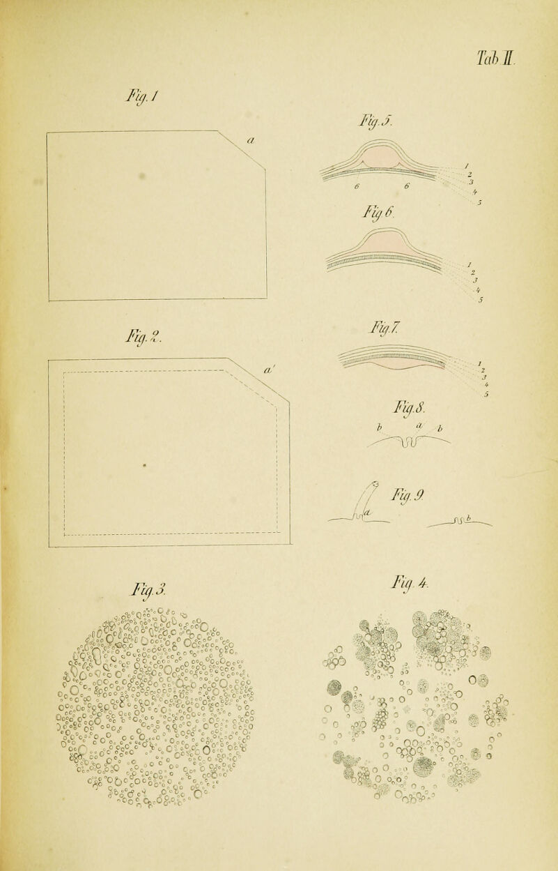 Tüll Fig.J FyJ. j Ftg.Z. Fy.7. ms. ff fy-4 Fig.3. V-?P SÄ*9. : . 10 0, I •.■ * ■ 0? 1 „oSO - - ; J^.A Oft'-- >° ^ - o - . a o ■ 1 o   o™° . cjv« ^i >o CS ■-'.. 0 o„o 0 0 g .