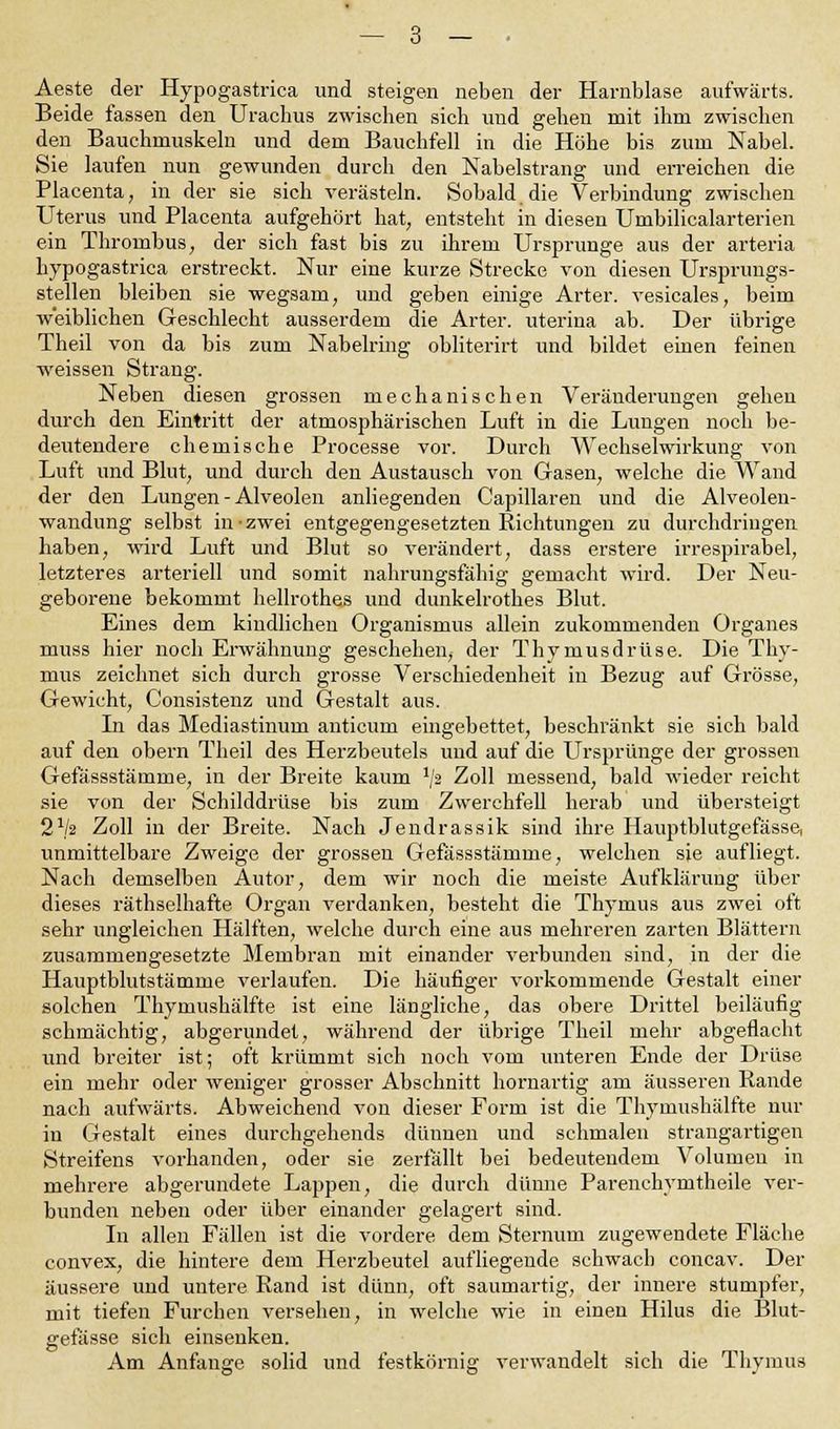 Aeste der Hypogastrica und steigen neben der Harnblase aufwärts. Beide fassen den Urachus zwischen sich und gehen mit ihm zwischen den Bauchmuskeln und dem Bauchfell in die Höhe bis zum Nabel. Sie laufen nun gewunden durch den Nabelstrang und erreichen die Placenta, in der sie sich verästeln. Sobald die Verbindung zwischen Uterus und Placenta aufgehört hat; entsteht in diesen Umbilicalarterien ein Thrombus, der sich fast bis zu ihrem Ursprünge aus der arteria hypogastrica erstreckt. Nur eine kurze Strecke von diesen Ursprungs- stellen bleiben sie wegsam, und geben einige Arter. vesicales, beim weiblichen Geschlecht ausserdem die Arter. uterina ab. Der übrige Theil von da bis zum Nabelring obliterirt und bildet einen feinen weissen Strang. Neben diesen grossen mechanischen Veränderungen gehen durch den Eintritt der atmosphärischen Luft in die Lungen noch be- deutendere chemische Processe vor. Durch Wechselwirkung von Luft und Blut, und durch den Austausch von Gasen, welche die Wand der den Lungen - Alveolen anliegenden Capillaren und die Alveolen- wandung selbst in-zwei entgegengesetzten Richtungen zu durchdringen haben, wird Luft und Blut so verändert, dass ei-stere irrespirabel, letzteres arteriell und somit nahrungsfähig gemacht wird. Der Neu- geborene bekommt hellrothes und dunkelrothes Blut. Eines dem kindlichen Organismus allein zukommenden Organes inuss hier noch Erwähnung geschehen, der Thymusdrüse. Die Thy- mus zeichnet sich durch grosse Verschiedenheit in Bezug auf Grösse, Gewicht, Consistenz und Gestalt aus. In das Mediastinum anticum eingebettet, beschränkt sie sich bald auf den obern Theil des Herzbeutels uud auf die Ursprünge der grossen Gefässstämme, in der Breite kaum 1j-2 Zoll messend, bald wieder reicht sie von der Schilddrüse bis zum Zwerchfell herab und übersteigt 21fe Zoll in der Breite. Nach Jendrassik sind ihre Hauptblutgefässe, unmittelbare Zweige der grossen Gefässstämme, welchen sie aufliegt. Nach demselben Autor, dem wir noch die meiste Aufklärung über dieses räthselhafte Organ verdanken, besteht die Thymus aus zwei oft sehr ungleichen Hälften, welche durch eine aus mehreren zarten Blättern zusammengesetzte Membran mit einander verbunden sind, in der die Hauptblutstämme verlaufen. Die häufiger vorkommende Gestalt einer solchen Thymushälfte ist eine längliche, das obere Drittel beiläufig schmächtig, abgerundet, während der übrige Theil mehr abgeflacht und breiter ist; oft krümmt sich noch vom unteren Ende der Drüse ein mehr oder weniger grosser Abschnitt hornartig am äusseren Rande nach aufwärts. Abweichend von dieser Form ist die Thymushälfte nur in Gestalt eines durchgehends dünnen und schmalen strangartigen Streifens vorhanden, oder sie zerfallt bei bedeutendem Volumen in mehrere abgerundete Lappen, die durch dünne Parenchymtheile ver- bunden neben oder über einander gelagert sind. In allen Fällen ist die vordere dem Sternum zugewendete Fläche convex, die hintere dem Herzbeutel aufliegende schwach concav. Der äussere und untere Rand ist dünn, oft saumartig, der innere stumpfer, mit tiefen Furchen versehen, in welche wie in einen Hilus die Blut- gefässe sich einsenken. Am Anfange solid und festkörnig verwandelt sich die Thymus