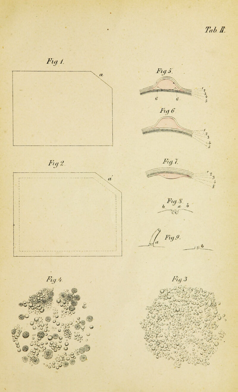 Tab n: Fig. 1. Fuj 6 »4- 'S Fiq.Z Fuji Fu, 8. b CL 0 i 3- Fiq 4. SM*» e a». au 83,,,.* g®ek «6S.°« .<.• ®* ft&©,£ ' Fi i,3 $m'' -. i law n