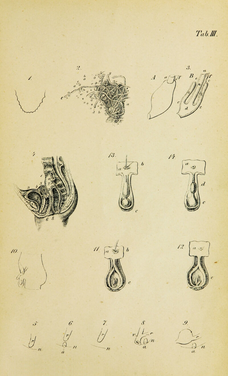 Tab.M. / /4. /a 6 u Q a 7. 8.