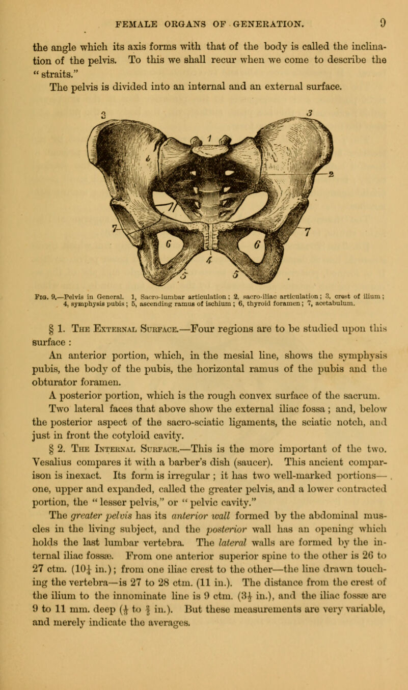 the angle which its axis forms with that of the body is called the inclina- tion of the pelvis. To this we shall recur when we come to describe the  straits. The pelvis is divided into an internal and an external surface. Fia. 9.—Pelvis in General. 1, Sarro-lumbar articulation; 2, sacro-iliac articulation; 8, crest of ilium; 4, symphysis pubis ; 5, ascending ramus of ischium ; 6, thyroid foramen ; 7, acetabulum. § 1. The External Surface.—Four regions are to be studied upon this surface : An anterior portion, which, in the mesial line, shows the symphysis pubis, the body of the pubis, the horizontal ramus of the pubis and the obturator foramen. A posterior portion, which is the rough convex surface of the sacrum. Two lateral faces that above show the external iliac fossa ; and, below the posterior aspect of the sacro-sciatic ligaments, the sciatic notch, and just in front the cotyloid cavity. § 2. The Internal Surface.—This is the more important of the two. Vesalius compares it with a barber's dish (saucer). This ancient compar- ison is inexact. Its form is irregular ; it has two well-marked portions— one, upper and expanded, culled the greater pelvis, and a lower contracted portion, the  lesser pelvis, or  pelvic cavity. The greater pelvis lias its (inferior wall formed by the abdominal mus- cles in the living subject, and the }>ustrri<>r wall h:is an opening which holds the last lumbar vertebra. The lateral walls are formed l>v the in- ternal iliac fossic. From one anterior superior spine to the other is 26 to 27 ctm. (10} in.); from one iliac crest to the other—the line drawn touch- ing the vertebra—is 27 to 28 etm. (11 in.). The distance from the crest of the ilium to the innominate line is (.) ctm. (\\\ in.), and the iliac foSBte air 9 to 11 mm. deep (^ to | in.). Hut these measurements are very variable, and merely indicate the SYi