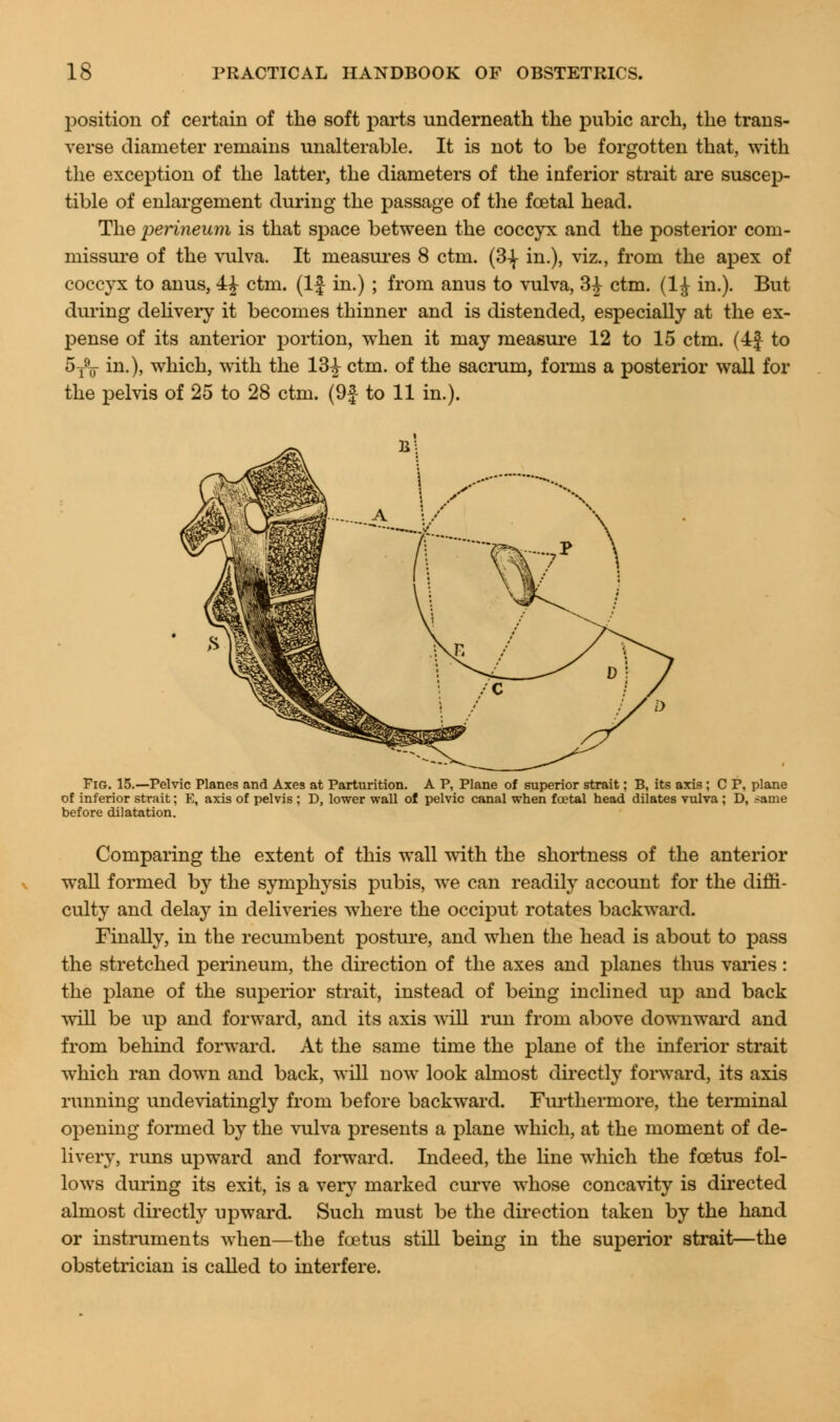 position of certain of the soft parts underneath the pubic arch, the trans- verse diameter remains unalterable. It is not to be forgotten that, with the exception of the latter, the diameters of the inferior strait are suscep- tible of enlargement during the passage of the fcetal head. The perineum is that space between the coccyx and the posterior com- missure of the vulva. It measures 8 ctm. (3\ in.), viz., from the apex of coccyx to anus, 4£ ctm. (If in.) ; from anus to vulva, 3^ ctm. (1£ in.). But during delivery it becomes thinner and is distended, especially at the ex- pense of its anterior portion, when it may measure 12 to 15 ctm. (4f to 5T9F in.), which, with the 13£ ctm. of the sacrum, forms a posterior wall for the pelvis of 25 to 28 ctm. (9f to 11 in.). Fig. 15.—Pelvic Planes and Axes at Parturition. A P, Plane of superior strait; B, its axis; C P, plane of inferior strait; E, axis of pelvis ; D, lower wall of pelvic canal when foetal head dilates vulva ; D, same before dilatation. Comparing the extent of this wall with the shortness of the anterior wall formed by the symphysis pubis, we can readily account for the diffi- culty and delay in deliveries where the occiput rotates backward. Finally, in the recumbent posture, and when the head is about to pass the stretched perineum, the direction of the axes and planes thus varies: the plane of the superior strait, instead of being inclined up and back will be up and forward, and its axis will run from above downward and from behind forward. At the same time the plane of the inferior strait which ran down and back, will now look almost directly forward, its axis running undeviatingly from before backward. Furthermore, the terminal opening formed by the vulva presents a plane which, at the moment of de- livery, runs upward and forward. Indeed, the line which the foetus fol- lows during its exit, is a very marked curve whose concavity is directed almost directly upward. Such must be the direction taken by the hand or instruments when—the fcetus still being in the superior strait—the obstetrician is called to interfere.
