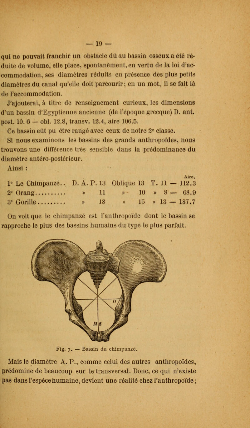 qui no pouvait franchir un obstacle dû au bassin osseux a été ré~ duite de volume, elle place, spontanément, en vertu de la loi d'ac- commodation, ses diamètres réduits en présence des plus petits diamètres du canal qu'elle doit parcourir: en un mot, il se fait là de l'accommodation. J'ajouterai, à titre de renseignement curieux, les dimensions d'un bassin d'Egyptienne ancienne (de l'époque grecque) D. ant. post. 10. 6 — obi. 12.8, transv. 12.4, aire 106.5. Ce bassin eût pu être rangé avec ceux de notre 2e classe. Si nous examinons les bassins des grands anthropoïdes, nous trouvons une différence très sensible dans la prédominance du diamètre antéro-postérieur. Ainsi : 1° Le Chimpanzé.. D. A. P. 13 Oblique 13 T. 11 — 112.3 2° Orang » 11 » 10 » 8 — 68.9 3° Gorille » 18 » 15 » 13 — 187.7 On voit que le chimpanzé est l'anthropoïde dont le bassin se rapproche le plus des bassins humains du type le plus parfait. Fig. 7. — Bassin du chimpanzé. Mais le diamètre A. P., comme celui des autres anthropoïdes, prédomine de beaucoup sur le transversal. Donc, ce qui n'existe pas dans l'espèce humaine, devient une réalité chez l'anthropoïde ;