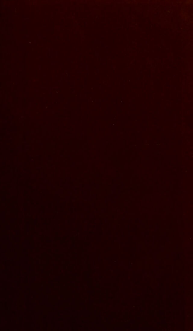 digitised image 3