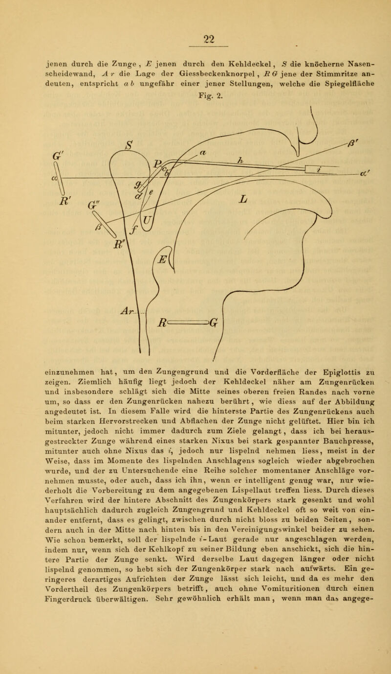 jenen durch die Zunge , E jenen durch den Kehldeckel, S die knöcherne Nasen- scheidewand, Ar die Lage der Giessbeckenknorpel , i?6r jene der Stimmritze an- deuten, entspricht a h ungefähr einer jener Stellungen, welche die Spiegelfläche Fig. 2. einzunehmen hat, um den Zungengrund und die Vorderfläche der Epiglottis zti zeigen. Ziemlich häufig liegt jedoch der Kehldeckel näher am Znngenrücken und insbesondere schlägt sich die Mitte seines oberen freien Randes nach vorne um, so dass er den Zungenrücken nahezu berührt, wie diess auf der Abbildung angedeutet ist. In diesem Falle wird die hinterste Partie des Zungenrückens auch beim starken Hervorstrecken und Abflachen der Zunge nicht gelüftet. Hier bin ich mitunter, jedoch nicht immer dadurch zum Ziele gelangt, dass ich bei heraus- gestreckter Zunge während eines starken Nixus bei stark gespannter Bauchpresse, mitunter auch ohne Nixus das z*, jedoch nur lispelnd nehmen liess, meist in der Weise, dass im Momente des lispelnden Anschlagens sogleich wieder abgebrochen wurde, und der zu Untersuchende eine Reihe solcher momentaner Anschläge vor- nehmen musste, oder auch, dass ich ihn, wenn er intelligent genug war, nur wie- derholt die Vorbereitung zu dem angegebenen Lispellaut treffen liess. Durch dieses Verfahren wird der hintere Abschnitt des Zungeukörpers stark gesenkt und wohl hauptsächlich dadurch zugleich Zungengrund und Kehldeckel oft so weit von ein- ander entfernt, dass es gelingt, zwischen durch nicht bloss zu beiden Seiten, son- dern auch in der Mitte nach hinten bis in den Vereinigungswinkel beider zu sehen. Wie schon bemerkt, soll der lispelnde z-Laut gerade nur angeschlagen werden, indem nur, wenn sich der Kehlkopf zu seiner Bildung eben anschickt, sich die hin- tere Partie der Zunge senkt. Wird derselbe Laut dagegen länger oder nicht lispelnd genommen, so hebt sich der Zungenkörper stark nach aufwärts. Ein ge- ringeres derartiges Aufrichten der Zunge lässt sich leicht, und da es mehr den Vordertheil des Zungenkörpers betrifft, auch ohne Vomituritionen durch einen Fingerdruck überwältigen. Sehr gewöhnlich erhält man, wenn man das angege-