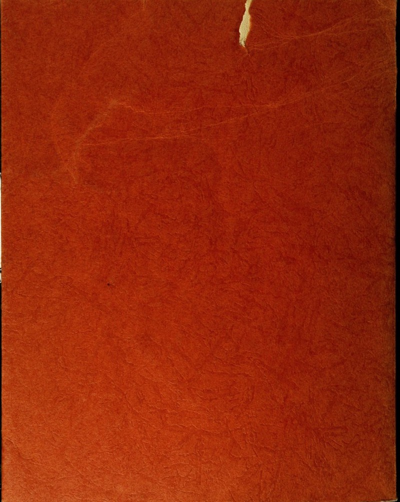 '