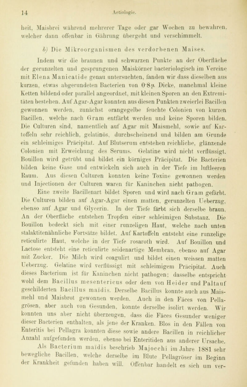 neit, Maisbrei während mehrerer Taue oder gar Wochen zu bewahren, welcher dann offenbar in Gährung übergeht und verschimmelt. b) I)ih Mikroorganismen des verdorbenen .Maises. Indem wir die braunen und schwarzen 1'unkte an der Oberfläche der gerunzelten und gesprungenen Maiskörner bacteriologisch im Vereine. mit Elena Manicatide genau untersuchten, landen wir dass dieselben aus kurzen, etwas abgerundeten Bacterien von 0'8p. Dicke, manchmal kleine Ketten bildend oder parallel angeordnet, mit kleinen Sporen an den Extremi- täten bestehen. Auf Agar-Agar konnten aus diesen Punkten zweierlei Bacillen gewonnen werden, zunächst orangegelbe feuchte Oolonien von kurzen Bacillen, welche nach Gram entfärbt werden und keine Sporen bilden. Die Oulturen sind, namentlich auf Agar mit Maismehl, sowie auf Kar- toffeln sehr reichlich, gelatinös, durchseheinend und bilden am Grunde ein schleimiges Präcipitat. Auf Blutserum entstehen reichliche, glänzende Oolonien mit Erweichung des Serums. Gelatine wird nicht verflüssigt. Bouillon wird getrübt und bildet ein körniges Präcipitat. Die Bacterien bilden keine Hase uiiil entwickeln sich auch in der Tiefe im luftleeren Baum. Aus diesen ('ulturen konnten keine Toxine gewonnen werden und Insertionen der ('ulturen waren \'\\v Kaninchen nicht pathogen. Eine zweite Bacillenart bildet Sporen und wird nach Gram gefärbt. Die Oulturen bilden auf Agar-Agar einen matten, gerunzelten Ueberzug, ebenso auf Agar und Glycerin. In der Tiefe färbt sich derselbe braun. An der Oberfläche entstehen Tropfen einer schleimigen Substanz. Die Bouillon bedeckt sich mit einer runzeligen Haut, welche nach unten stalaktitenähnliche Fortsätze bildet. Auf Kartoffeln entsteht eine runzelige reticulirte Haut, welche in der Tiefe rosaroth wird. Auf Bouillon und Lactose entsteht eine reticulirte seidenartige Membran, ebenso auf Agar mit Zucker. Die Milch wird coagulirt und bildet einen weissen matten Ueberzug. Gelatine wird verflüssigt mit schleimigem Präcipitat. Auch dieses Bacterium ist für Kaninchen nicht pathogen; dasselbe entspricht wohl dem Bacillus mesentericus oder dem von Heider und Paltauf geschilderten Bacillus maidis. Derselbe Bacillus konnte auch aus Mais- mehl und Maisbrot gewonnen werden. Auch in den Fäces von Pella- grösen, aber auch von Gesunden, konnte derselbe isolirt werden. Wir konnten uns aber nicht überzeugen, dass die Fäces Gesunder weniger diese,- Bacterien enthalten, als jene der Kranken. Bios in den Fällen von Enteritis bei Pellagra konnten diese sowie andere Bacillen in reichlicher Anzahl aufgefunden werden, ebenso bei Enteritiden aus anderer Ursache- Ais Bacterium maidis beschrieb Majocchi im Jahre 1881 sehr bewegliche Bacillen, welche derselbe im Blute Pellagröser im Beginn der Krankheit gefunden haben will. Offenbar handelt, es sich um ver-