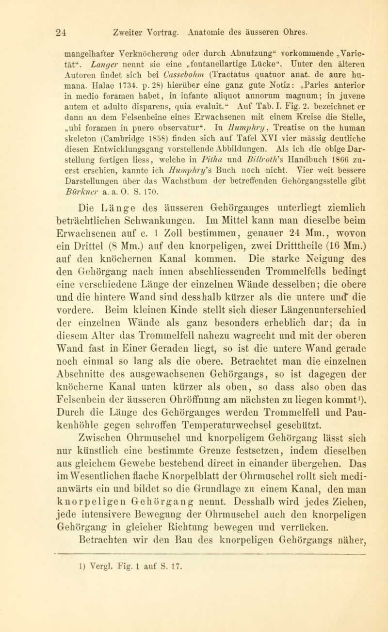 mangelhafter Verknöcherung oder durch Abnutzung vorkommende ..Varie- tät. Langer nennt sie eine „fontanellartige Lücke. Unter den älteren Autoren findet sich bei Cassebohm (Tractatus quatuor anat. de aure hu- mana. Halae 1734. p.28) hierüber eine ganz gute Notiz: ..Paries anterior in medio foramen habet, in infante aliquot annorum magnum; in juvene autem et adulto disparens, quia evaluit. Auf Tab. I. Fig. 2. bezeichneter dann an dem Felsenbeine eines Erwachsenen mit einem Kreise die Stelle, ,.ubi foramen in puero observatur. In Humphry, Treatise on the human skeleton (Cambridge 1856) finden sich auf Tafel XVI vier massig deutliche diesen Entwicklungsgang vorstellende Abbildungen. Als ich die obige Dar- stellung fertigen liess, welche in Pitha und Billroth,s Handbuch 1866 zu- erst erschien, kannte ich Humphry'& Buch noch nicht. Vier weit bessere Darstellungen über das Wachsthum der betreffenden Gehörgangsstelle gibt Bürkncr a. a. 0. S. 170. Die Länge des äusseren Gehörganges unterliegt ziemlich beträchtlichen Schwankungen. Im Mittel kann man dieselbe beim Erwachsenen auf c. 1 Zoll bestimmen, genauer 24 Mm., wovon ein Drittel (8 Mm.) auf den knorpeligen, zwei Dritttheile (16 Mm.) auf den knöchernen Kanal kommen. Die starke Neigung des den Gehörgang nach innen abschliessenden Trommelfells bedingt eine verschiedene Länge der einzelnen Wände desselben; die obere und die hintere Wand sind desshalb kürzer als die untere und die vordere. Beim kleinen Kinde stellt sich dieser Längenunterschied der einzelnen Wände als ganz besonders erheblich dar; da in diesem Alter das Trommelfell nahezu wagrecht und mit der oberen Wand fast in Einer Geraden liegt, so ist die untere Wand gerade noch einmal so lang als die obere. Betrachtet man die einzelnen Abschnitte des ausgewachsenen Gehörgangs, so ist dagegen der knöcherne Kanal unten kürzer als oben, so dass also oben das Felsenbein der äusseren Ohröffnung am nächsten zu liegen kommt'). Durch die Länge des Gehörganges werden Trommelfell und Pau- kenhöhle gegen schroffen Temperaturwechsel geschützt. Zwischen Ohrmuschel und knorpeligem Gehörgang lässt sich nur künstlich eine bestimmte Grenze festsetzen, indem dieselben aus gleichem Gewebe bestehend direct in einander übergehen. Das im Wesentlichen flache Knorpelblatt der Ohrmuschel rollt sich medi- anwärts ein und bildet so die Grundlage zu einem Kanal, den man knorpeligen Gehörgang nennt. Desshalb wird jedes Ziehen, jede intensivere Bewegung der Ohrmuschel auch den knorpeligen Gehörgang in gleicher Richtung bewegen und verrücken. Betrachten wir den Bau des knorpeligen Gehörgangs näher, 1) Vergl. Fig. 1 auf S. 17.
